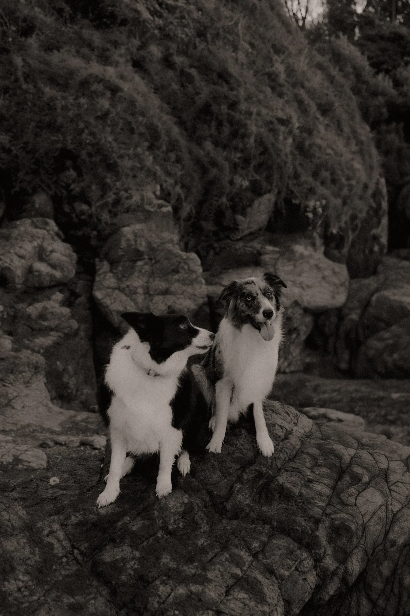 Claudia + Ryan-25.jpg