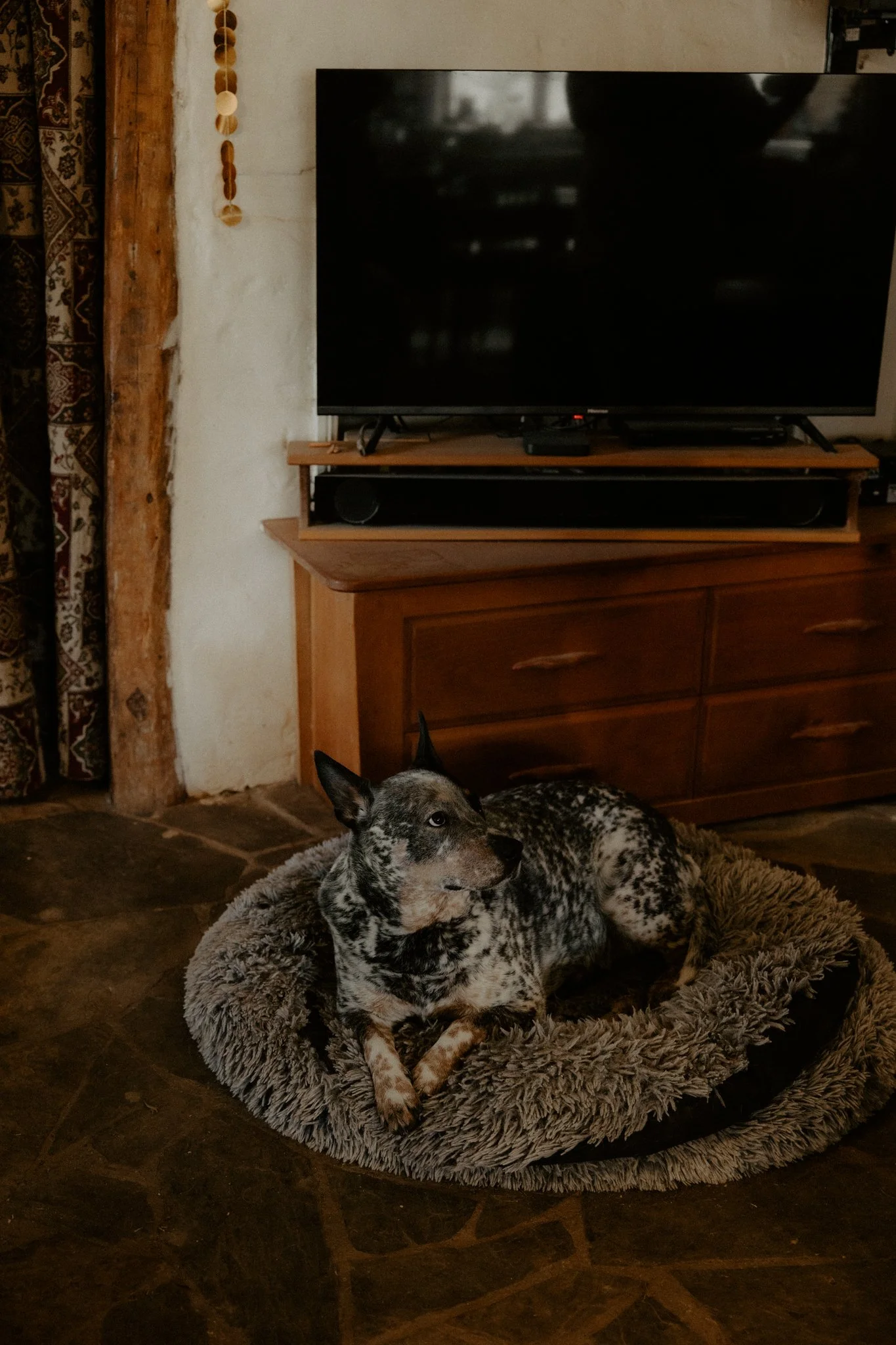 The Nunn Family-87.jpg