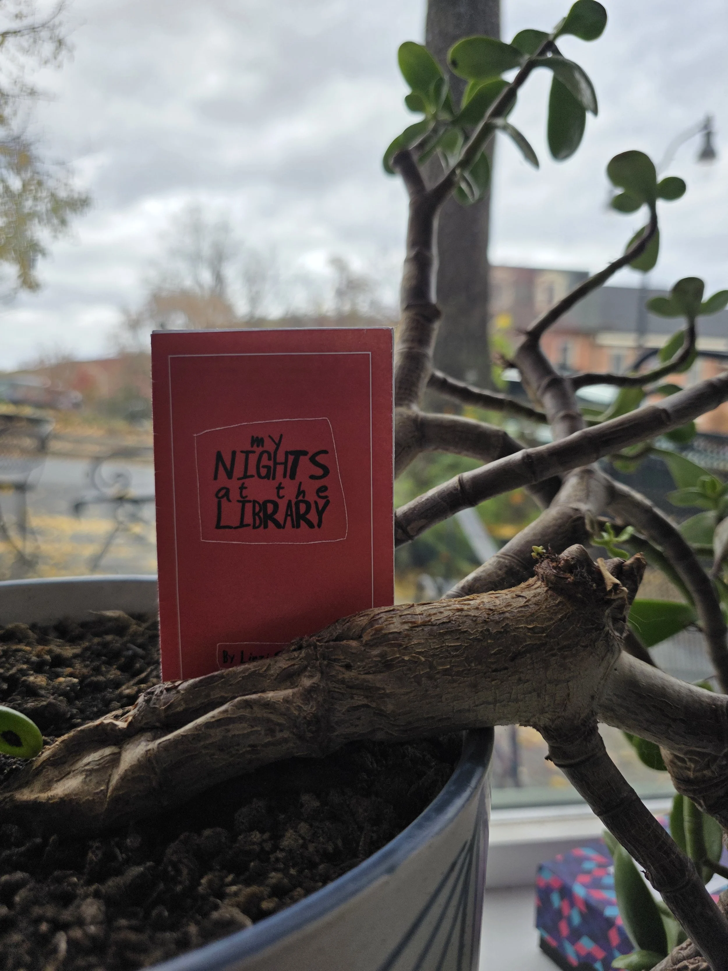 My Nights at the Library Linzi Silverman.jpg