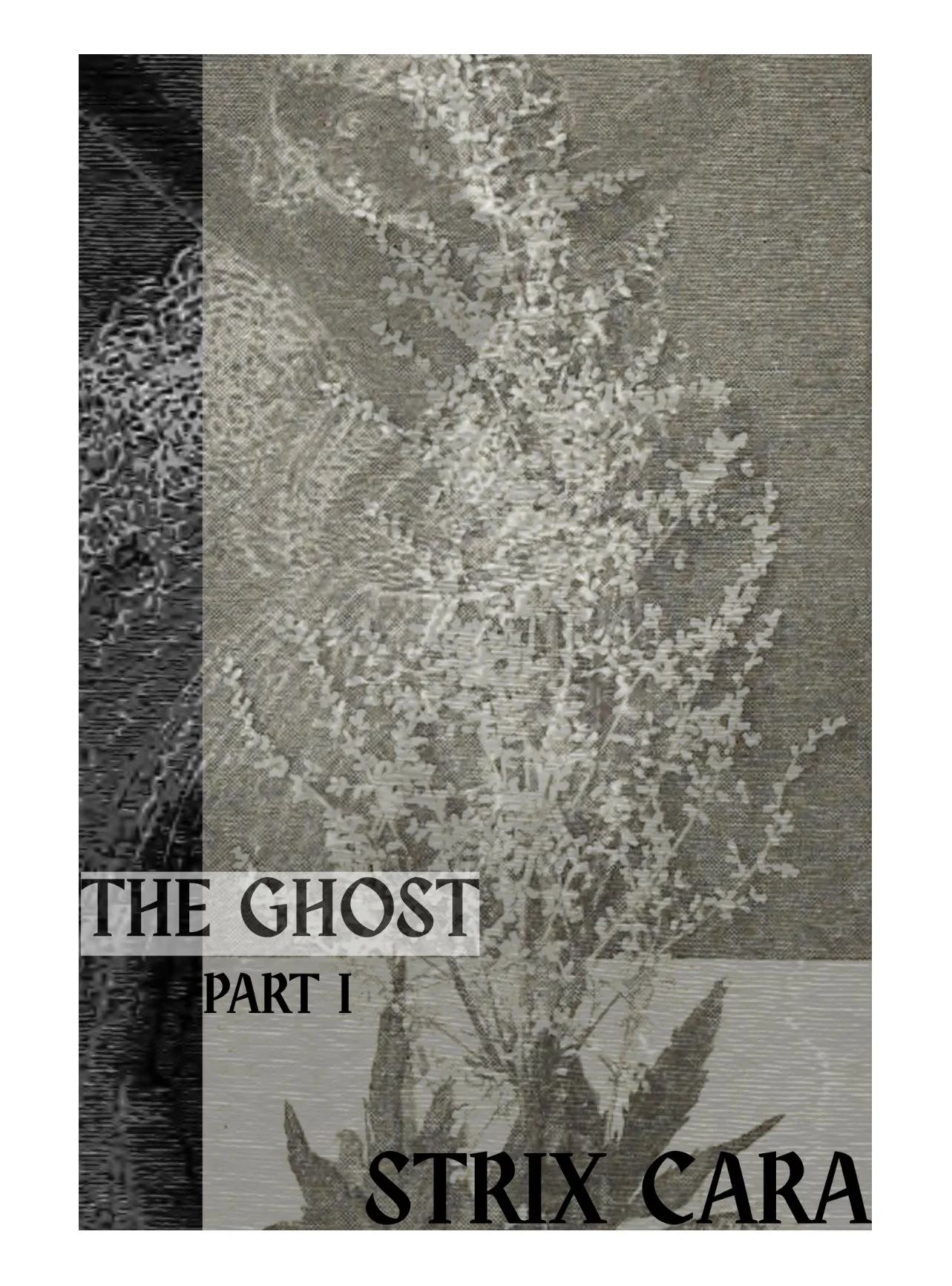 The Ghost Part 1 by Strix Cara