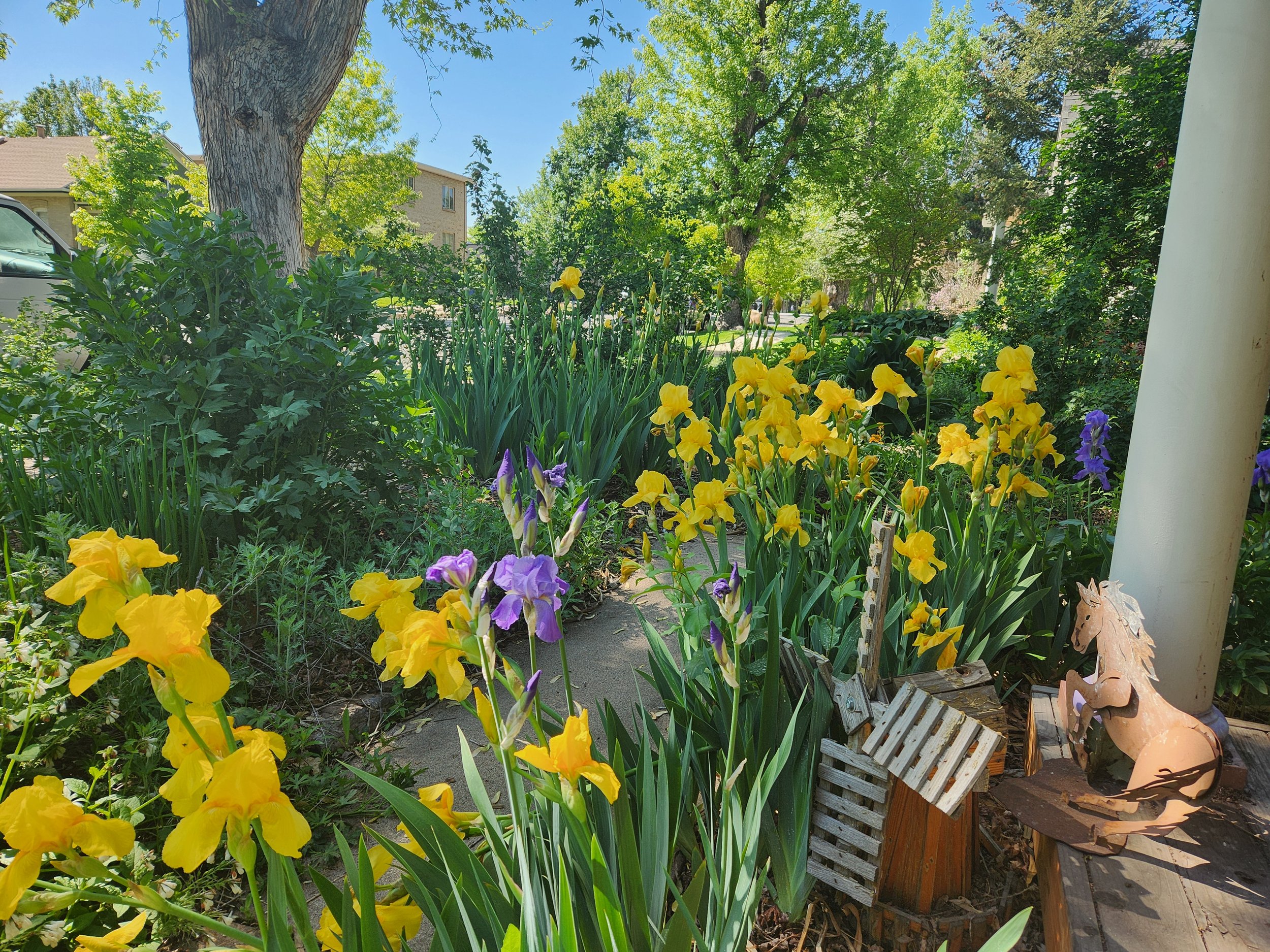 Gardening