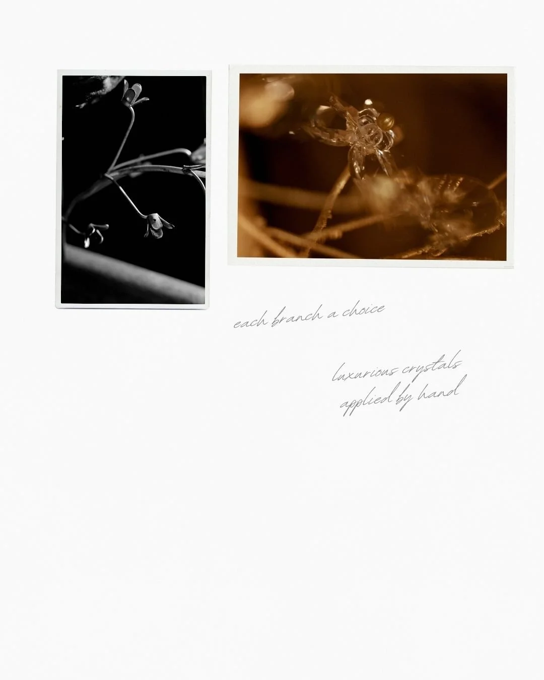 social media design branding furniture video upstate new york hudson capital region albany