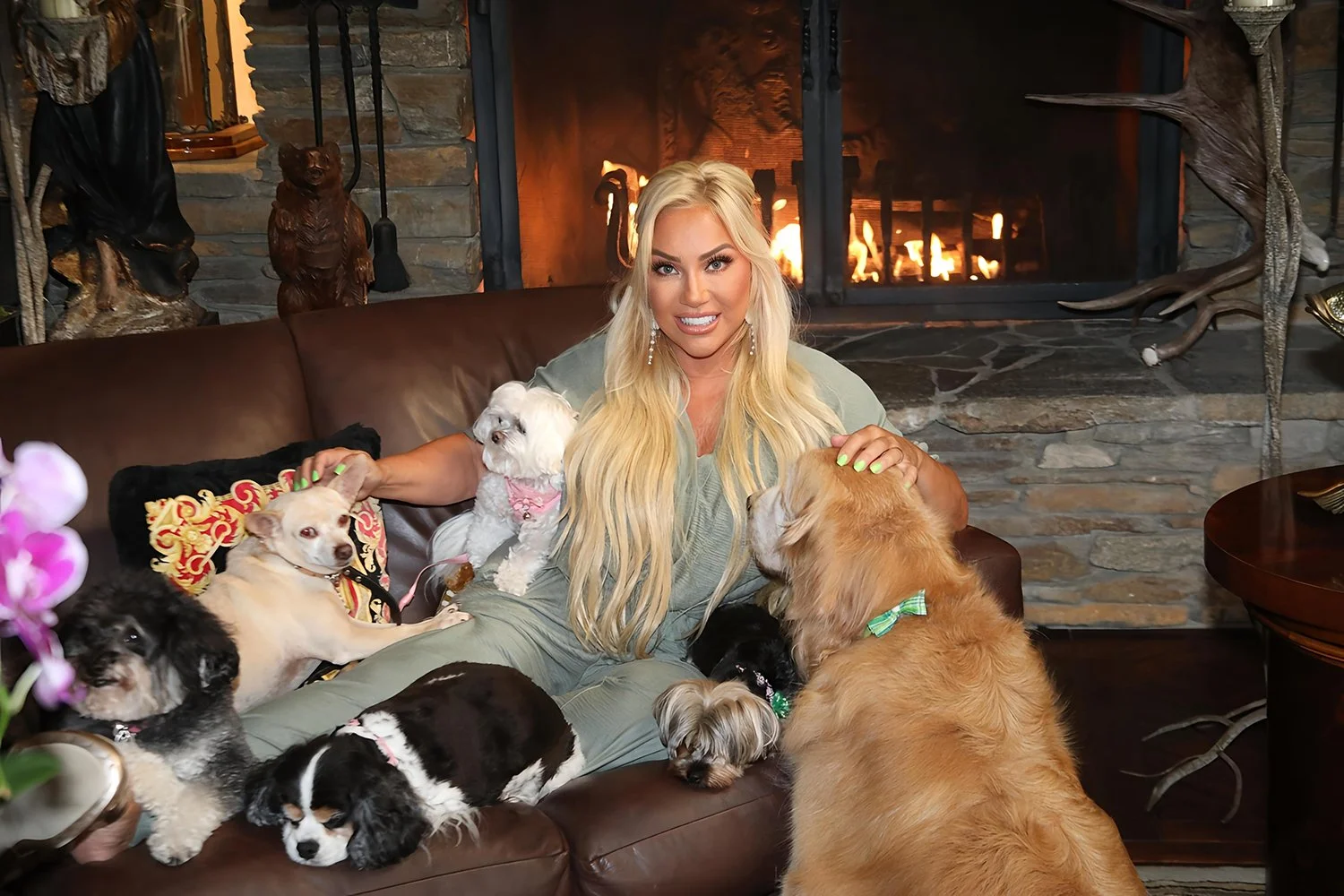 Viviana Soldano FaBrizio, Amore for Dogs