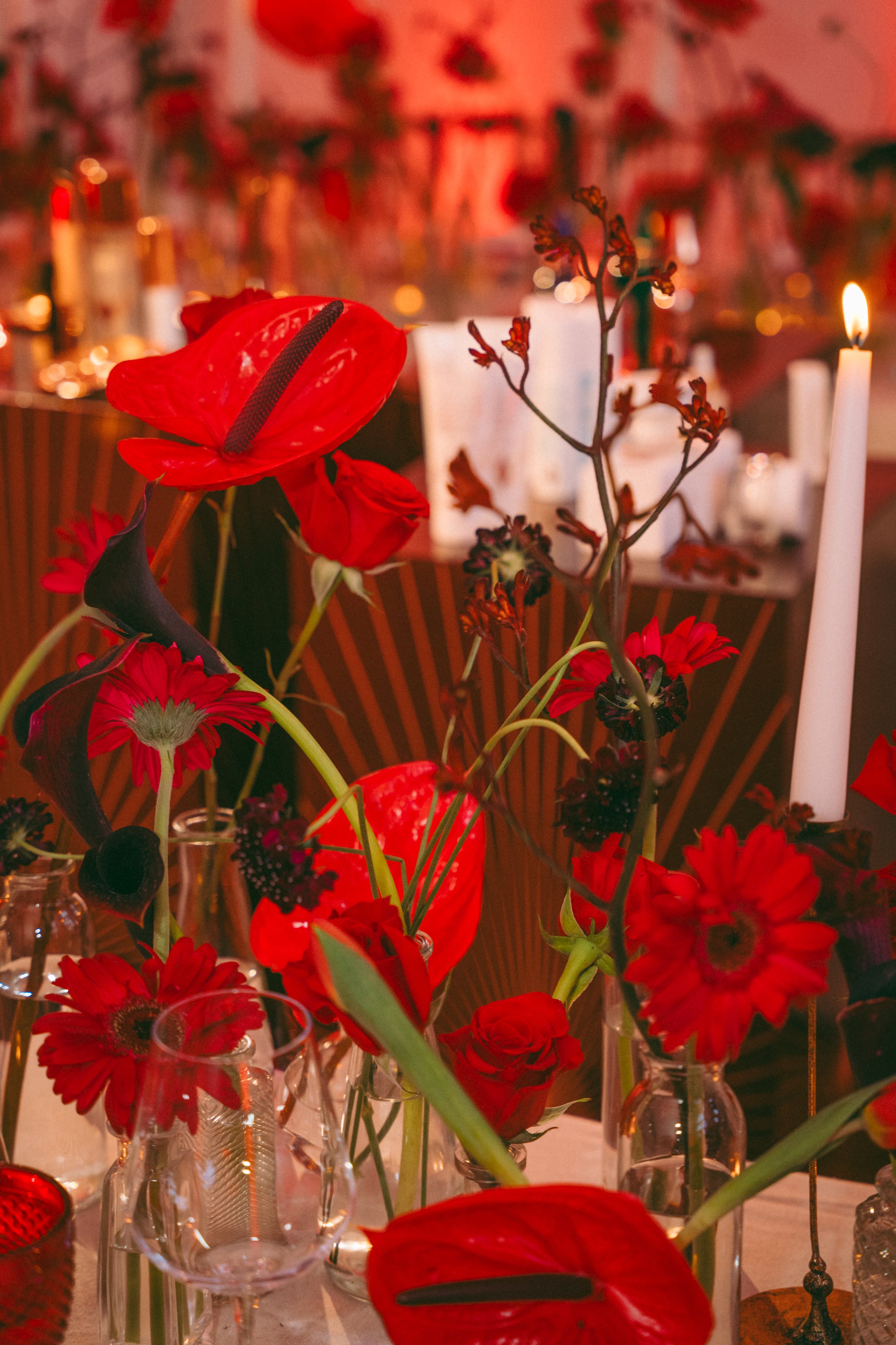 Charlotte Tilbury Portugal Launch