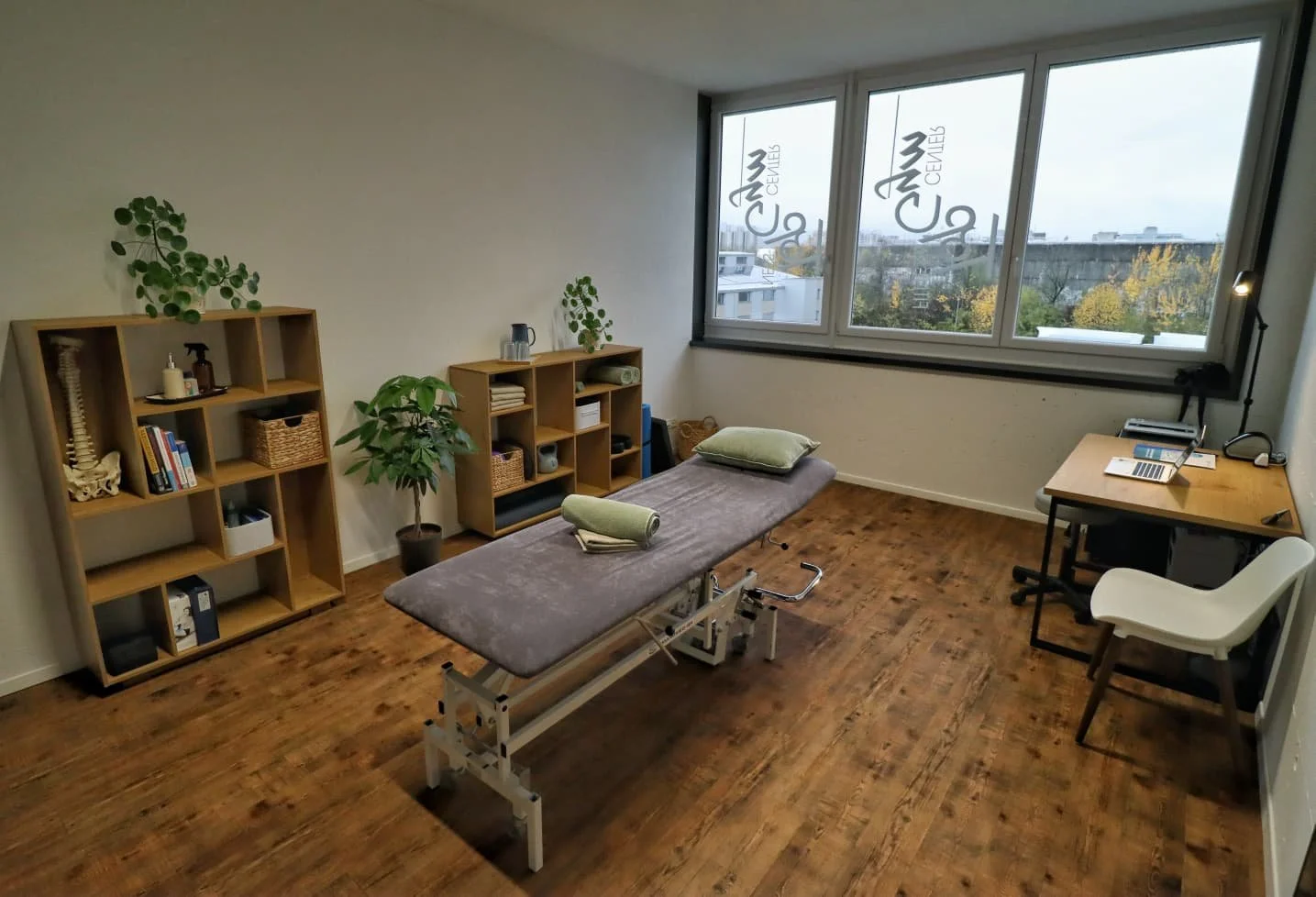Behandlungszimmer mit Behandlungsliege, Holzregalen, Pflanzen, Schreibtisch und Stuhl