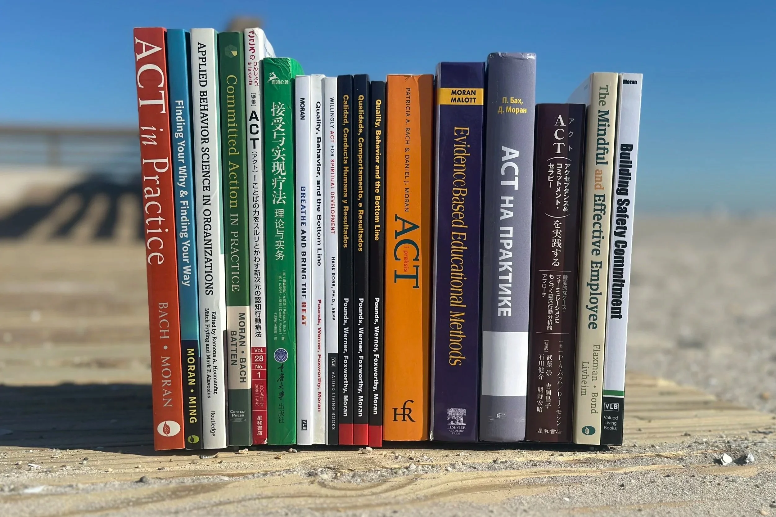 A row of academic and professional books standing upright on a sandy surface, with a blurred beach and ocean background under a clear blue sky.