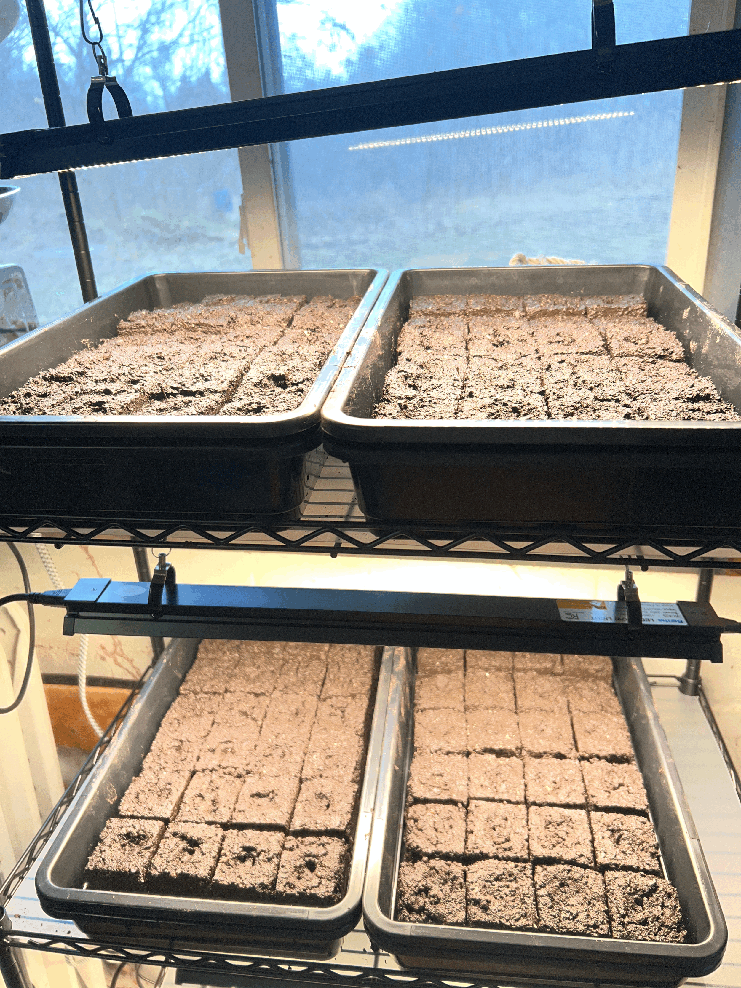 Soil Blocking: Regenerative Farming as Resistance