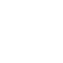 A target with a dart hitting the center.
