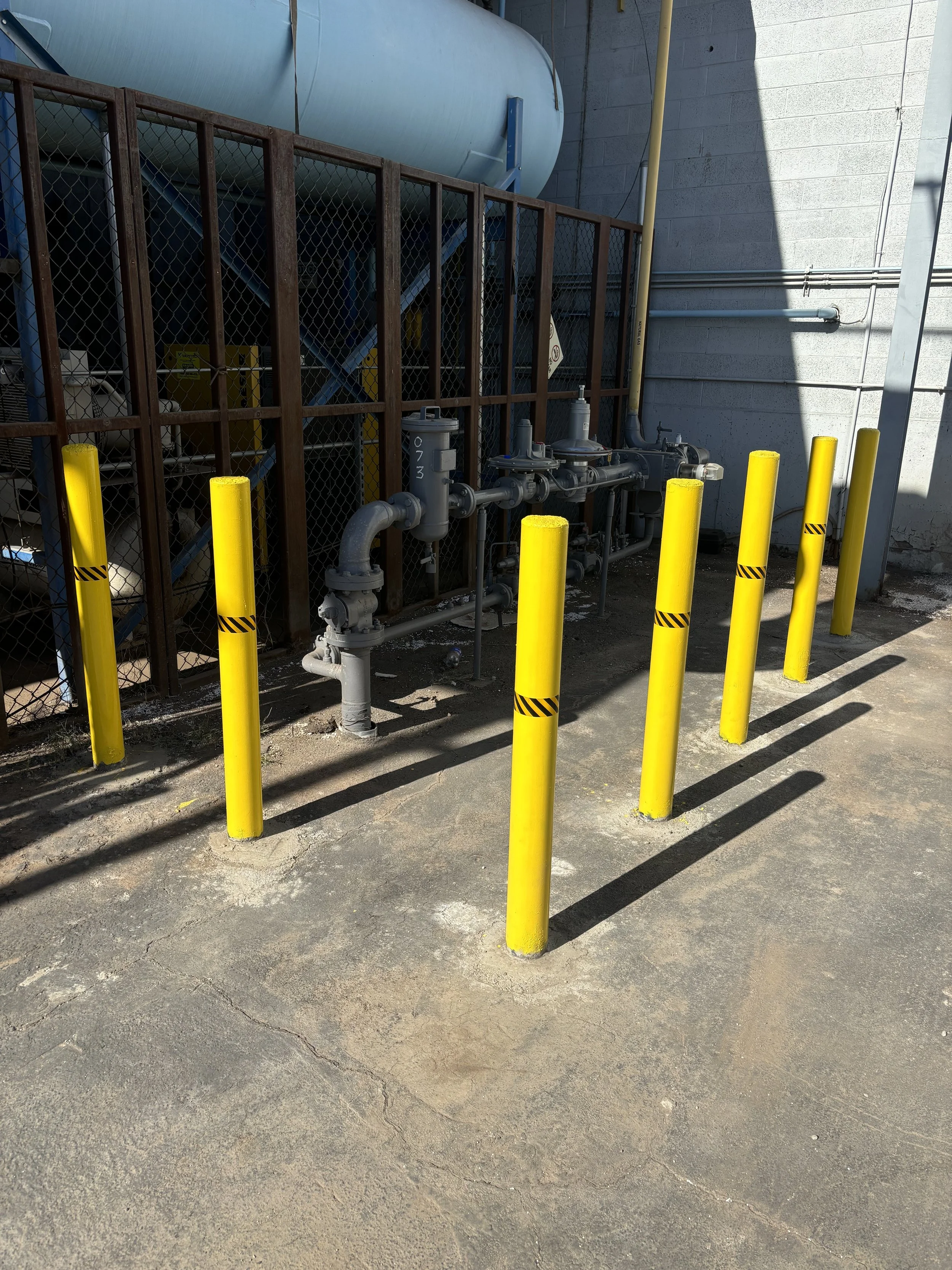 Photo Nov 22 2024, 12 52 58.jpg