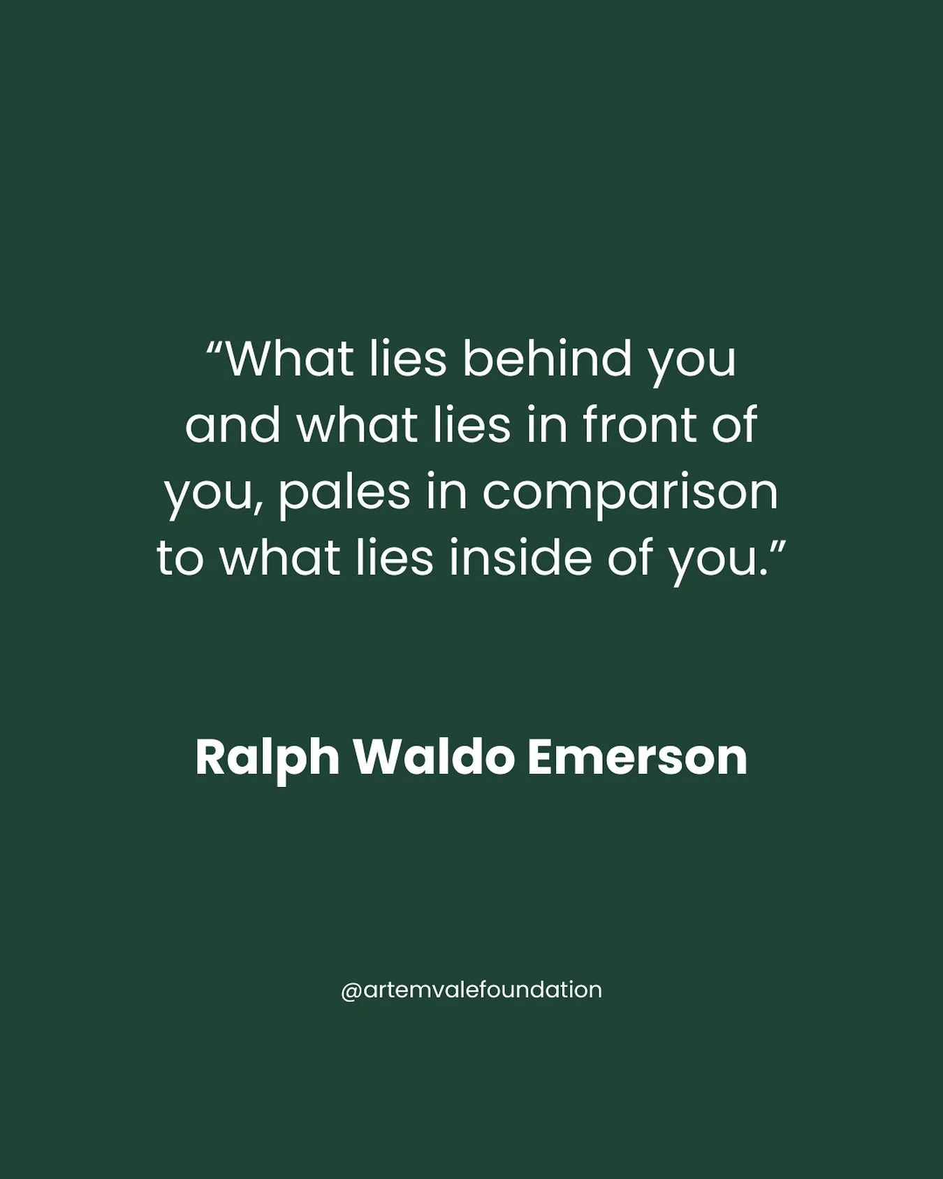 Sometimes, the most important work we do is learning to trust what exists within us.

#artemvale #mindfulmeaningfultogether #mentalwellnessmatters
