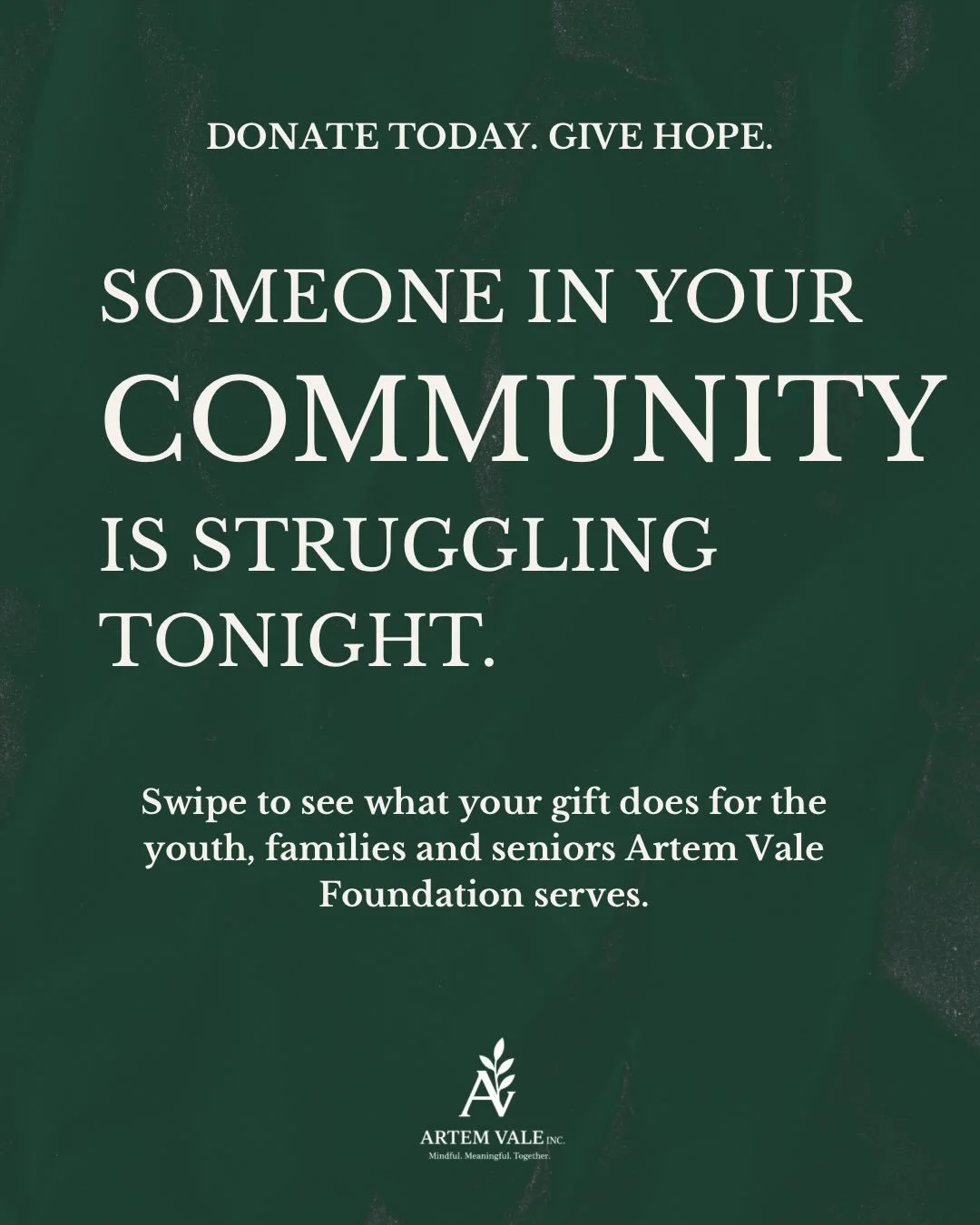 Donate today. Give hope. 💚

For just $10 you can provide access to mental wellness tools for youth, families and seniors.

At Artem Vale Foundation, every single dollar lands somewhere real. Giving something real, in someone&rsquo;s hands, actively 
