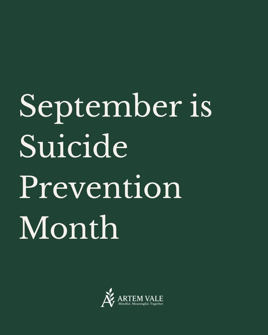 September is Suicide Prevention Awareness Month. 

Learn the signs. Start the conversation. Break the Silence. You never know whose life you may touch. 

You are not alone. 🤍

#artemvale #mentalwellness #mentalhealth