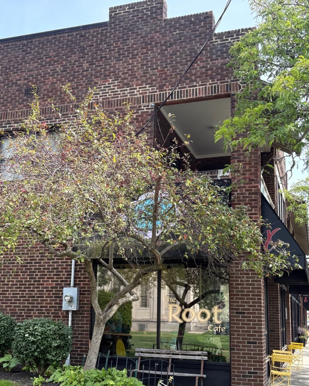 We have a tree of hope growing at the @the_root_cafe! 🤭

During the month of September make a donation of any amount to Artem Vale and help us grow our tree of hope. Throughout Suicide Prevention Month, every leaf symbolizes compassion and hope for 