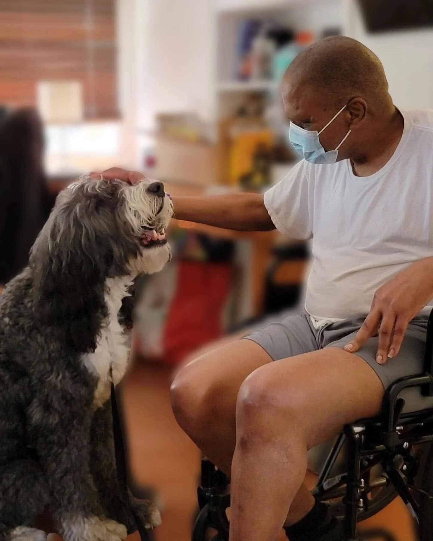 A person in a wheelchair petting a happy dog with a person wearing a mask touching the dog's head in a cozy home setting.