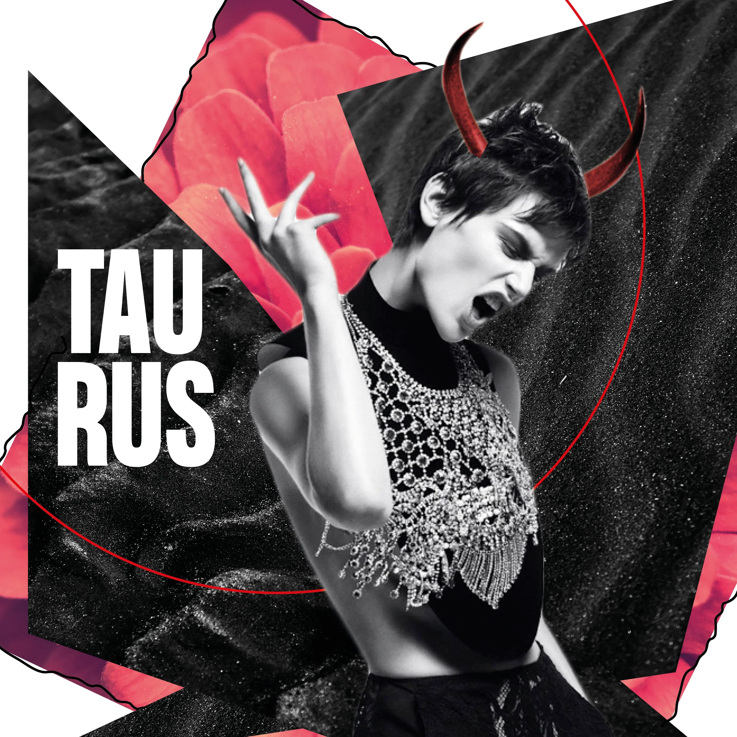 Taurus Collage Artwork