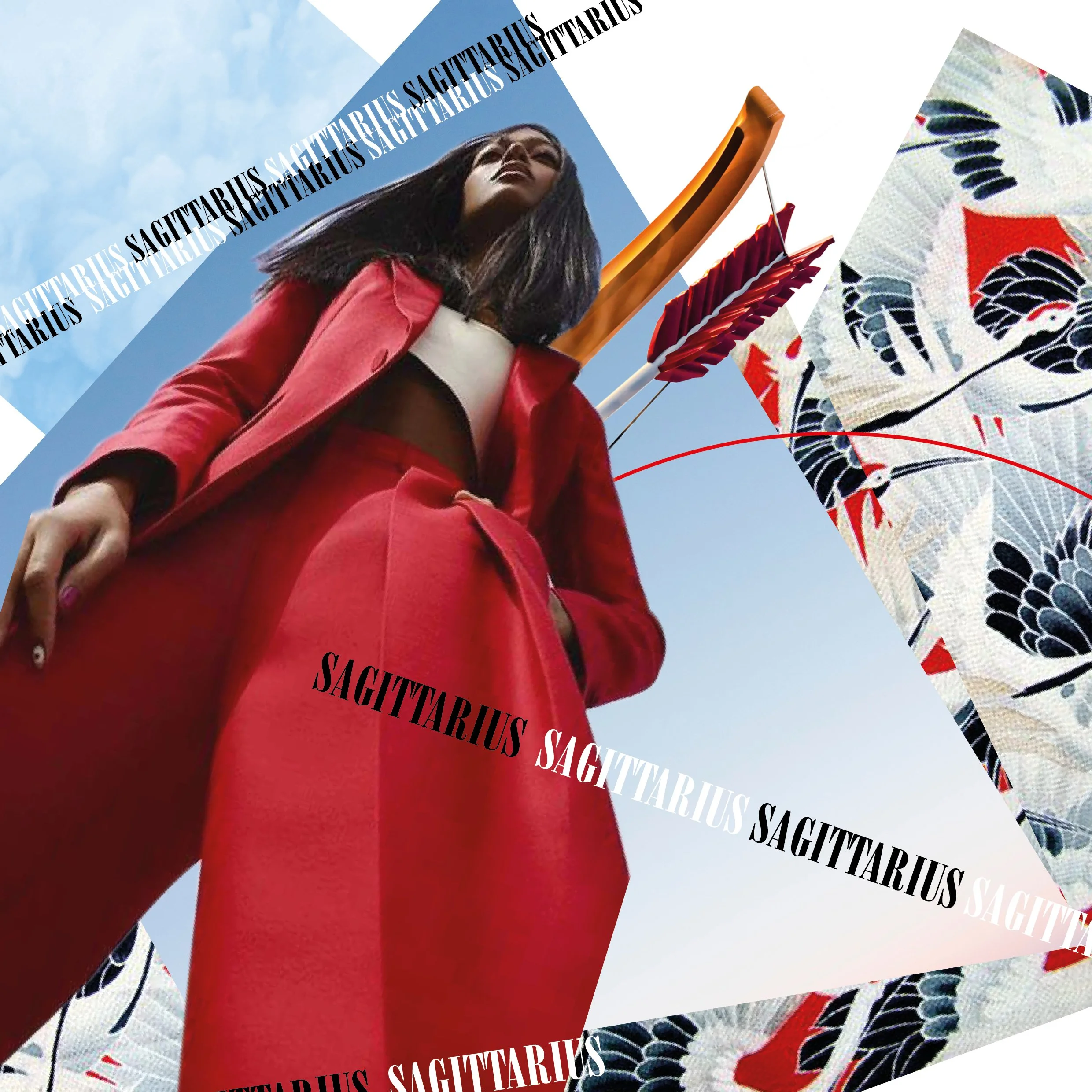 Sagittarius Collage Artwork