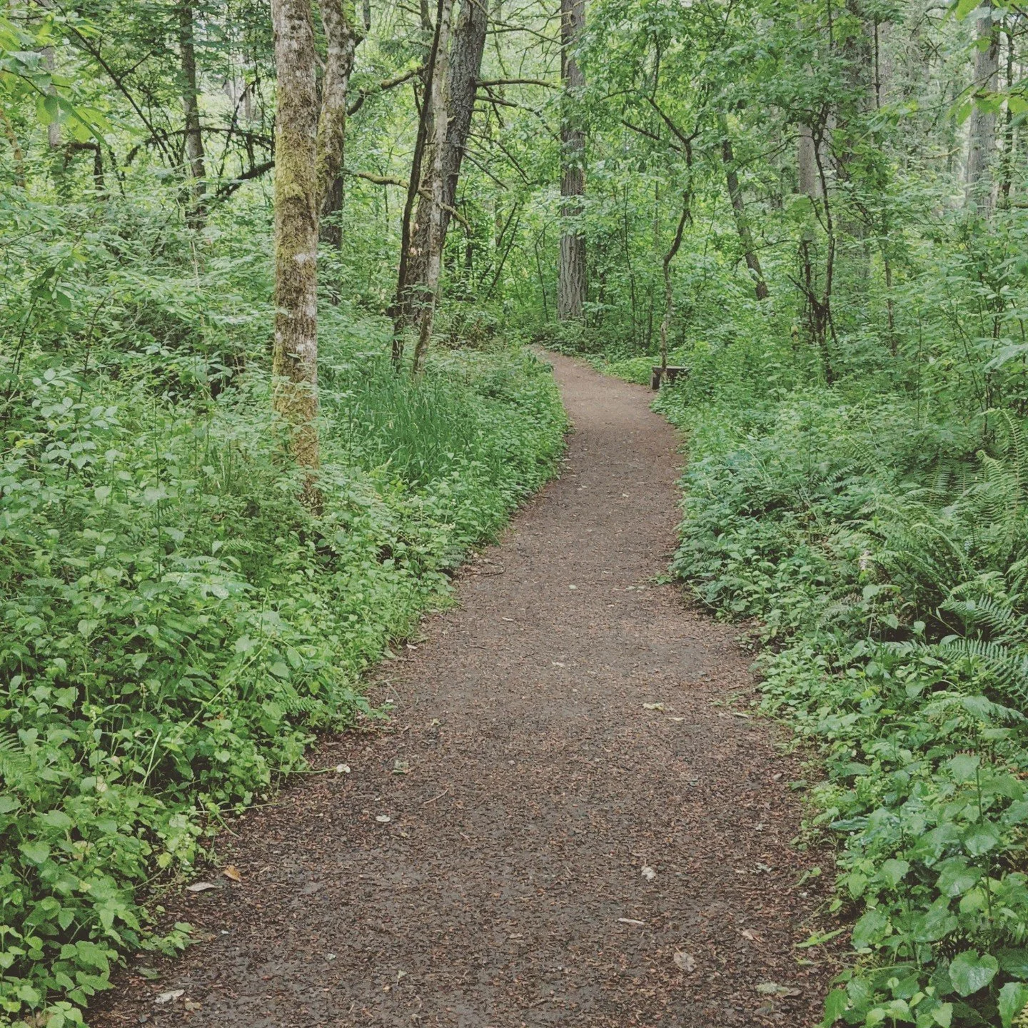 There have been days as a nurse and parent when I thought, &ldquo;if one more person tells me &lsquo;you can&rsquo;t pour from an empty cup&rsquo;, I&rsquo;m going to punch them in the face&rdquo;. As someone committed to nonviolence, my salty, hyper