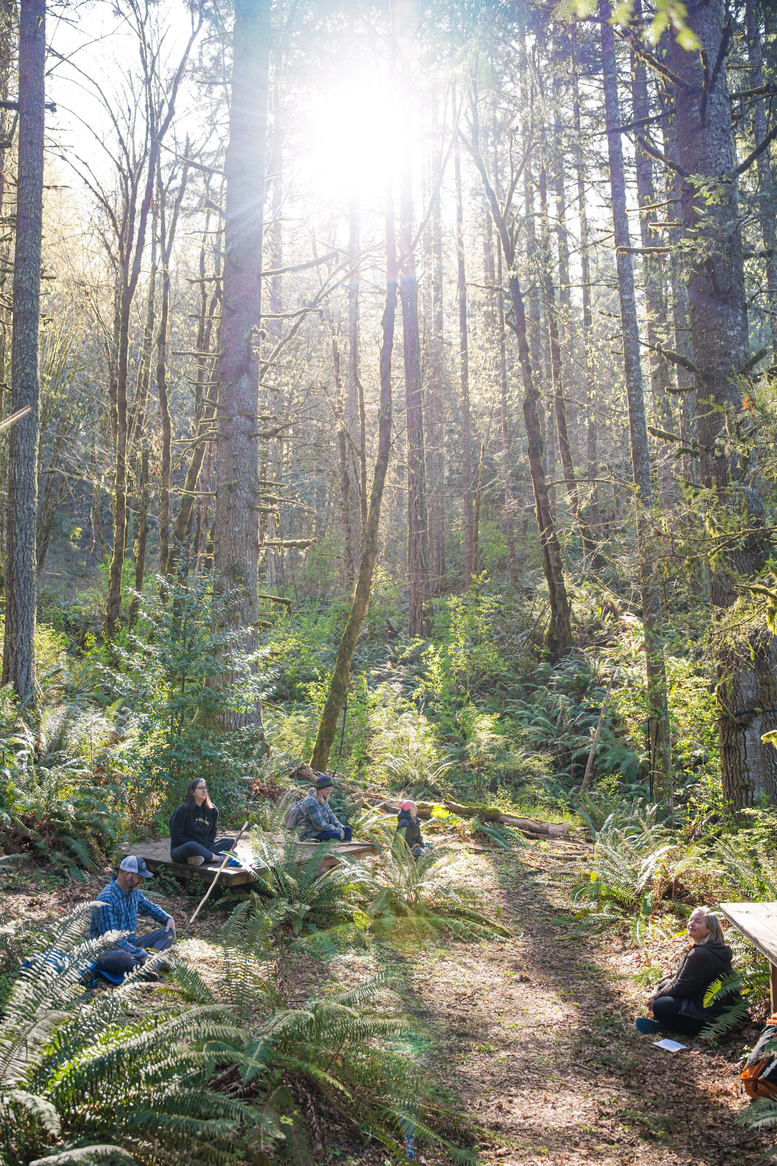 Group of people sitting outdoors in a forest, engaged in meditation or mindfulness practice, surrounded by tall trees and lush greenery, with sunlight shining through the foliage.