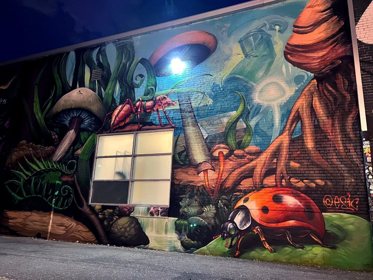 Colorful mural painting of a bugs eye view nature scene with mushrooms, an ant, a ladybug, and tree roots on a brick wall