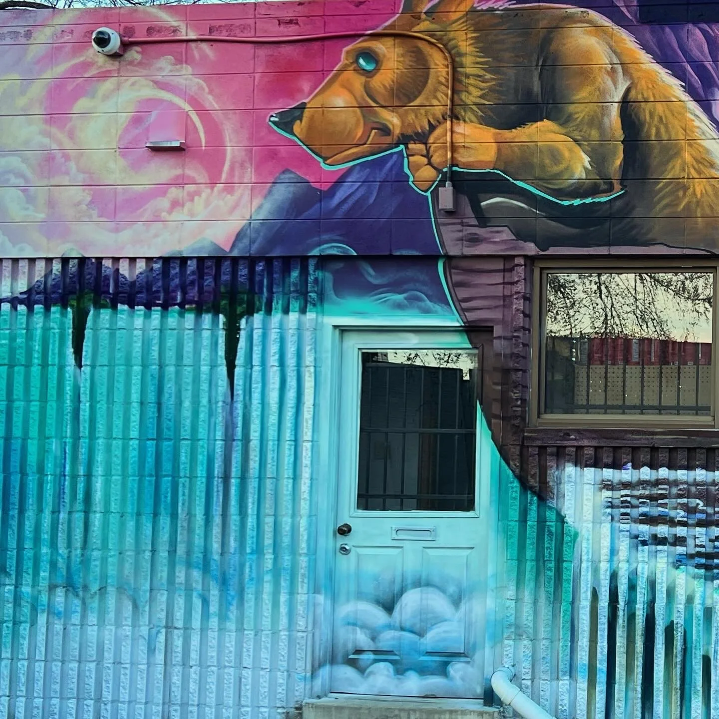 Colorful mural of a lion resting on his paws under a pink sky with a bright moon, painted on the exterior wall of a building with a door and window.