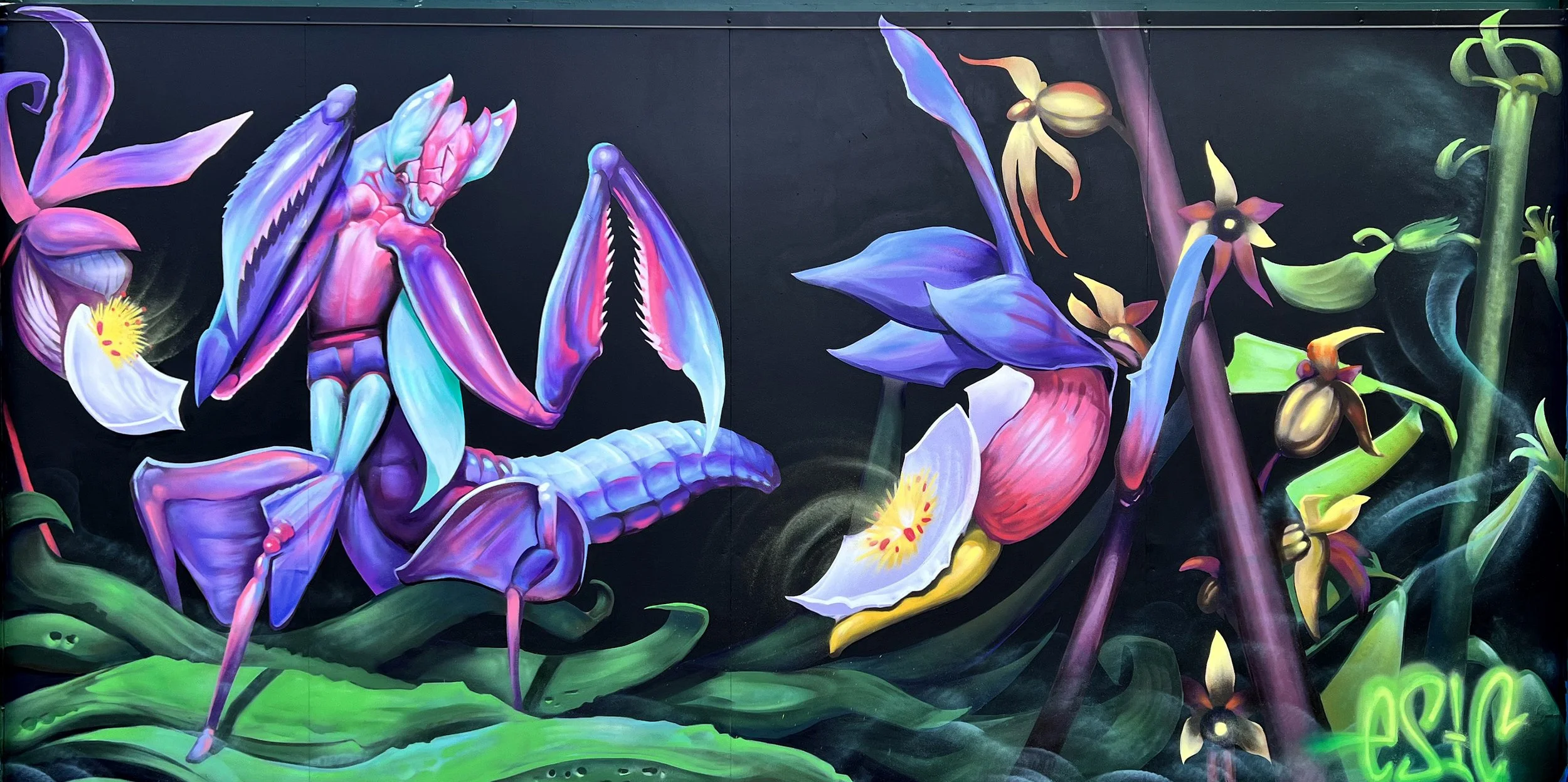Colorful mural of a surreal scene with a hybrid insect and plant creature with purple, pink, and blue hues, surrounded by large flowers, leaves, and stems on a black background.