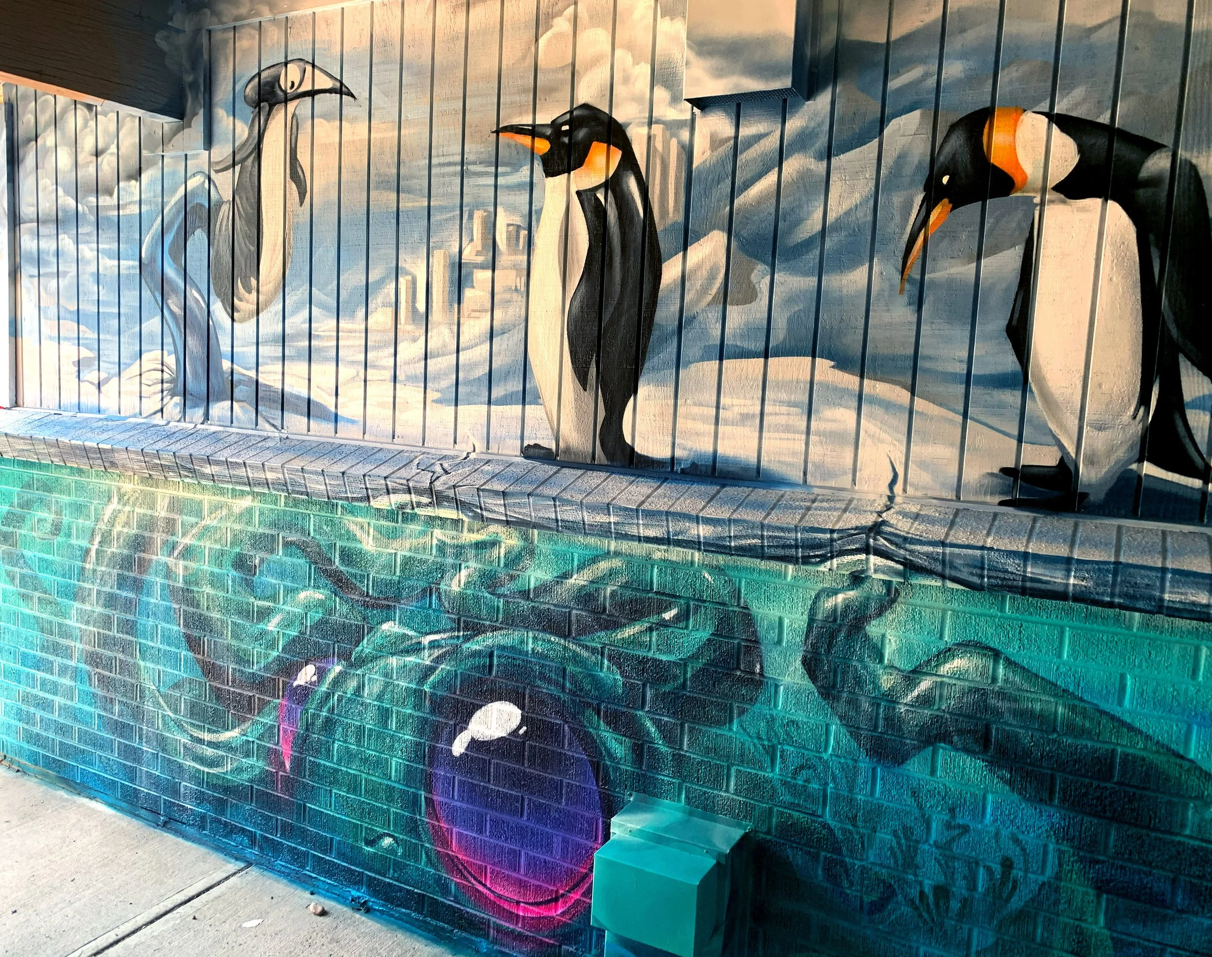 Murals of animals on a brick wall, with penguins and a swan in the upper section, and a sea turtle painted on the lower section.