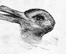 The consultant’s ‘’situational assessment”