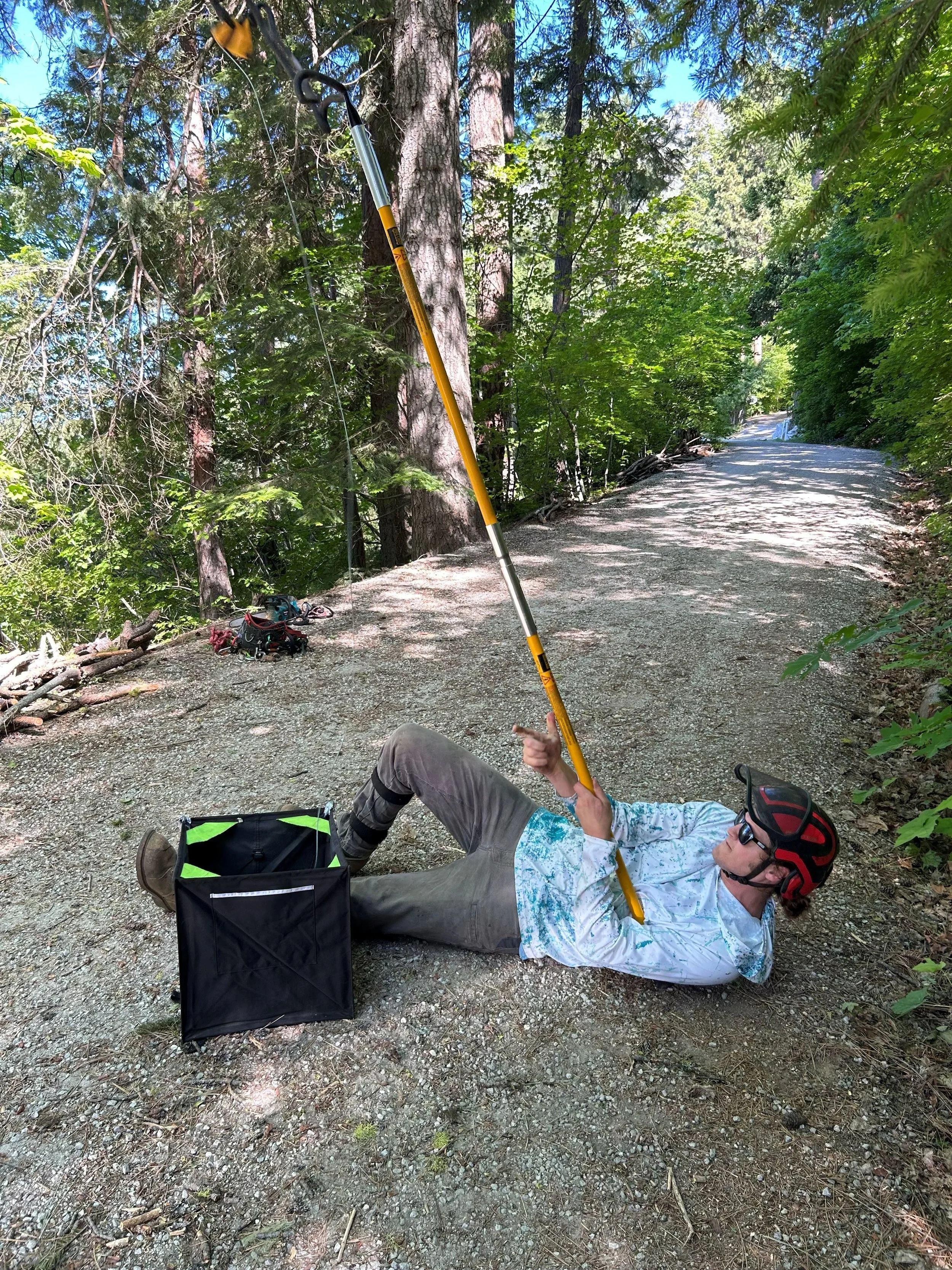 tree climbing notch big shot