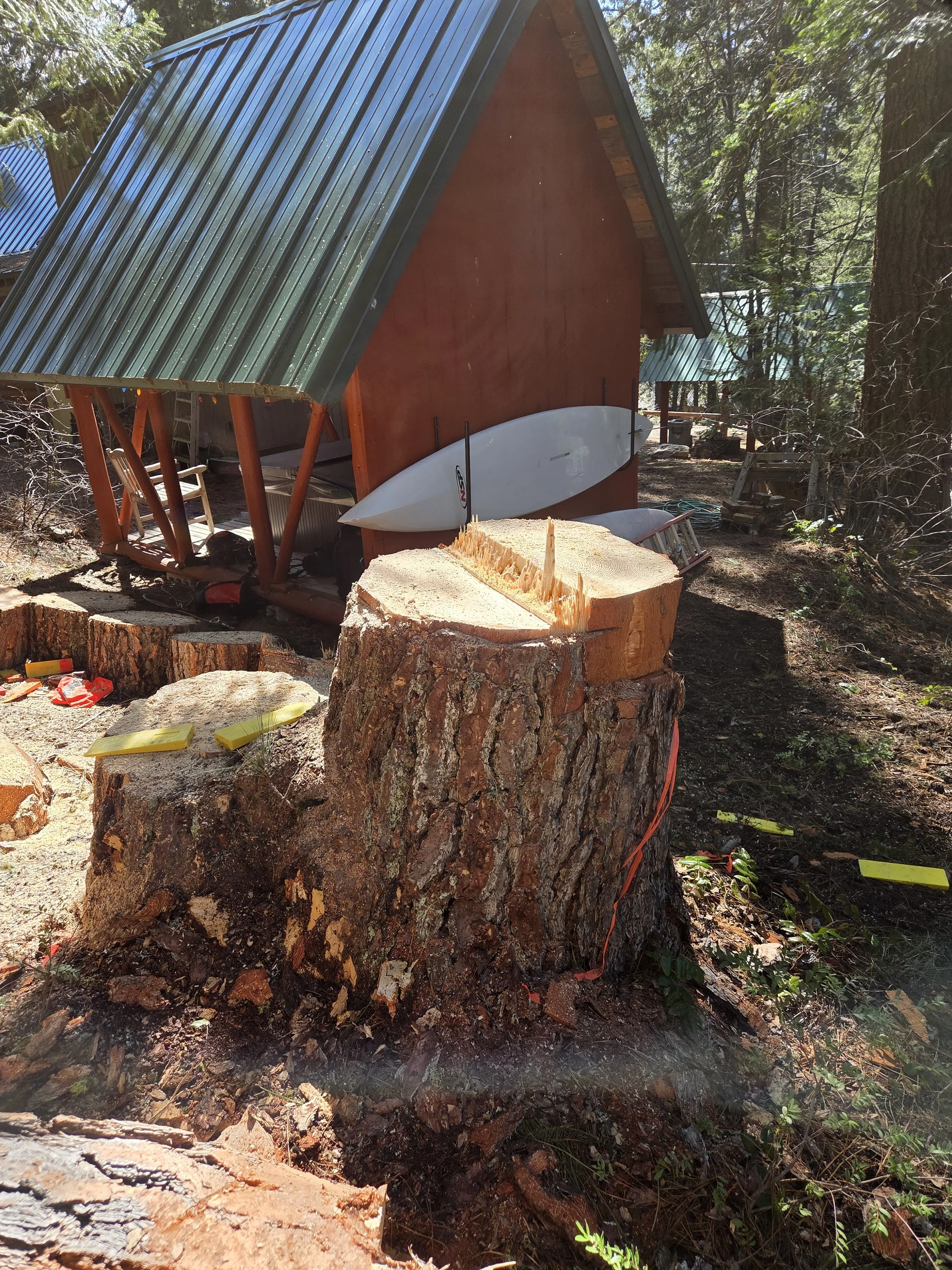 tree service 