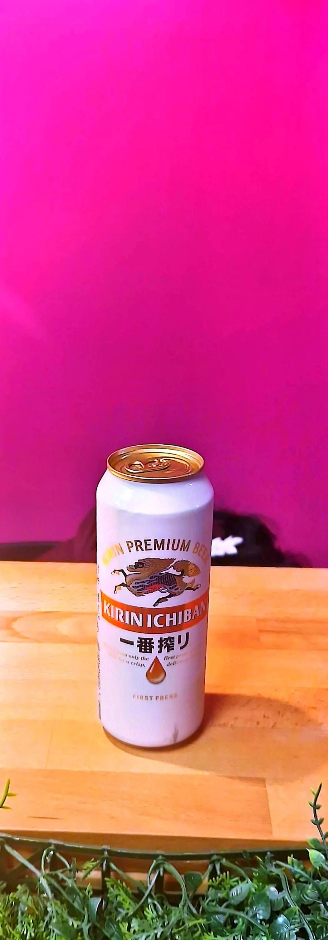 Bière 50cl