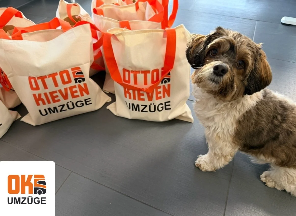D&uuml;rfen wir euch vorstellen: Mili 🐾

Unsere Feel-Good-Managerin sorgt t&auml;glich daf&uuml;r,
dass bei uns nicht nur Umz&uuml;ge laufen &ndash;
sondern auch die Stimmung stimmt 🧡

Wer w&uuml;rde sie direkt einstellen? 😄🧡

#ottokievenumzuege 