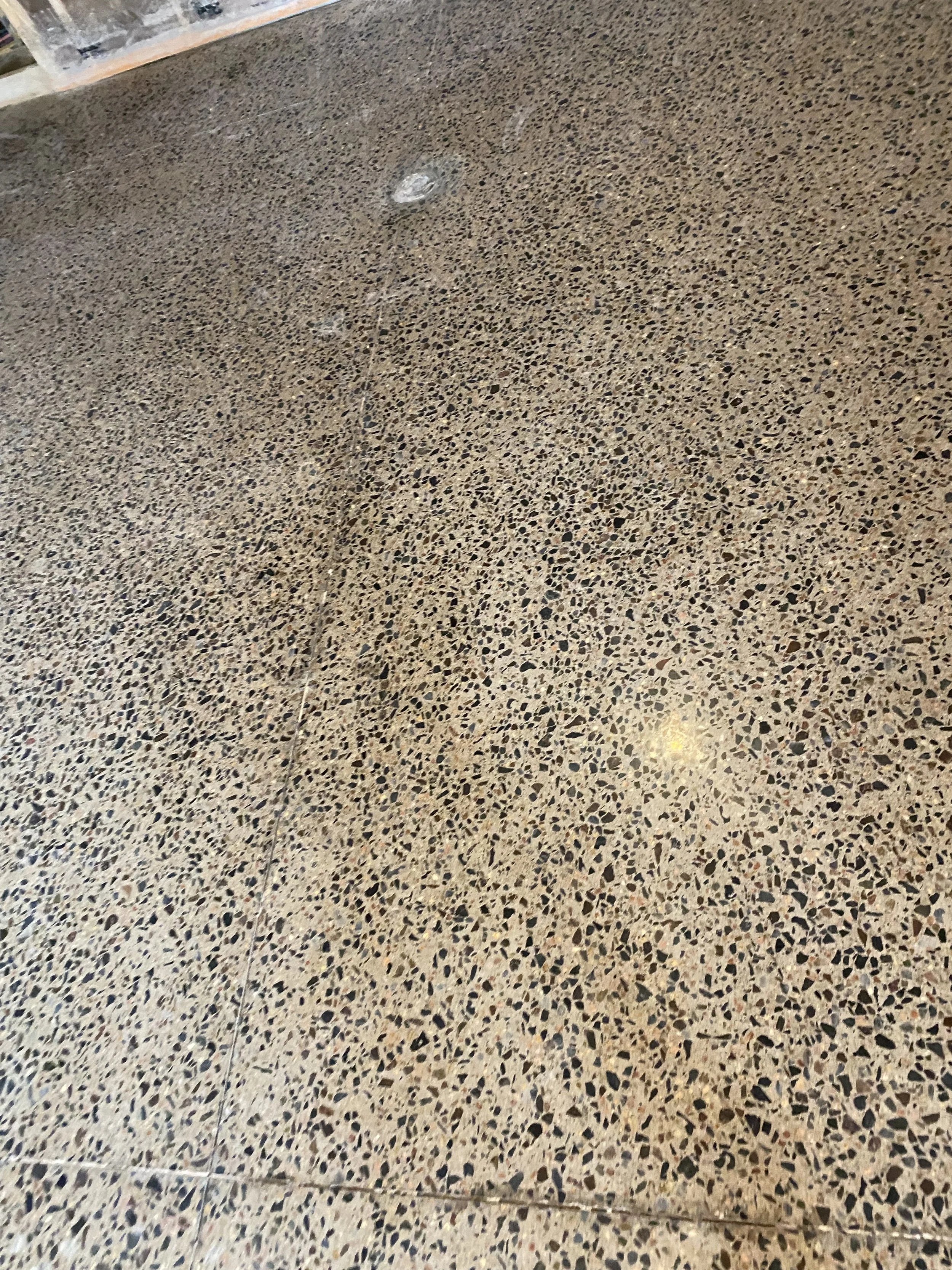 Photo Mar 03 2023, 11 04 42 AM.jpg