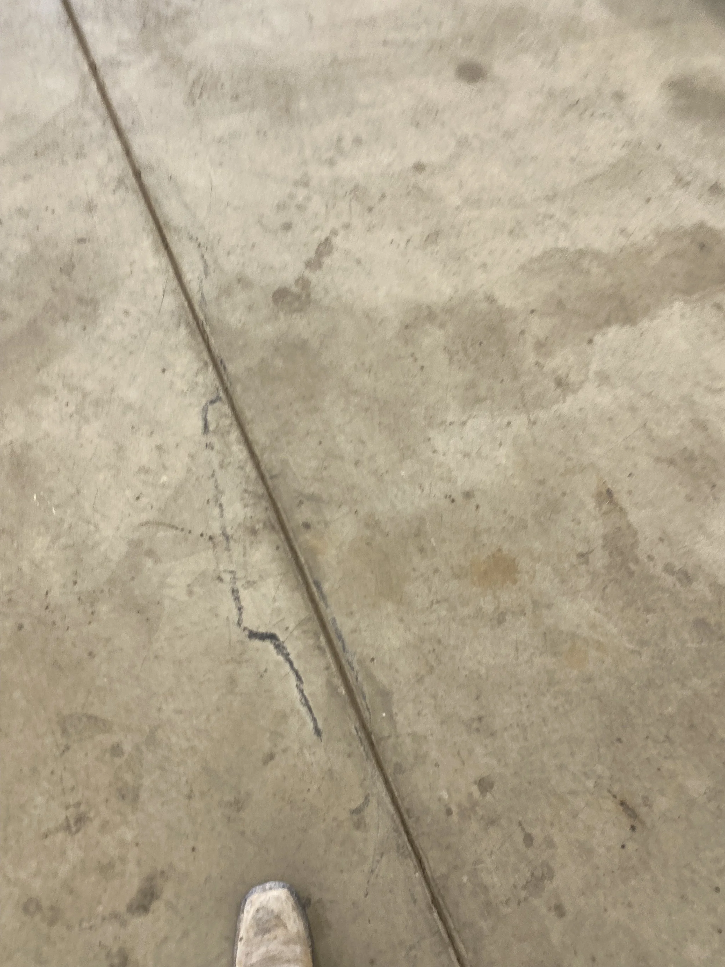 Photo Mar 09 2023, 10 07 32 AM.jpg