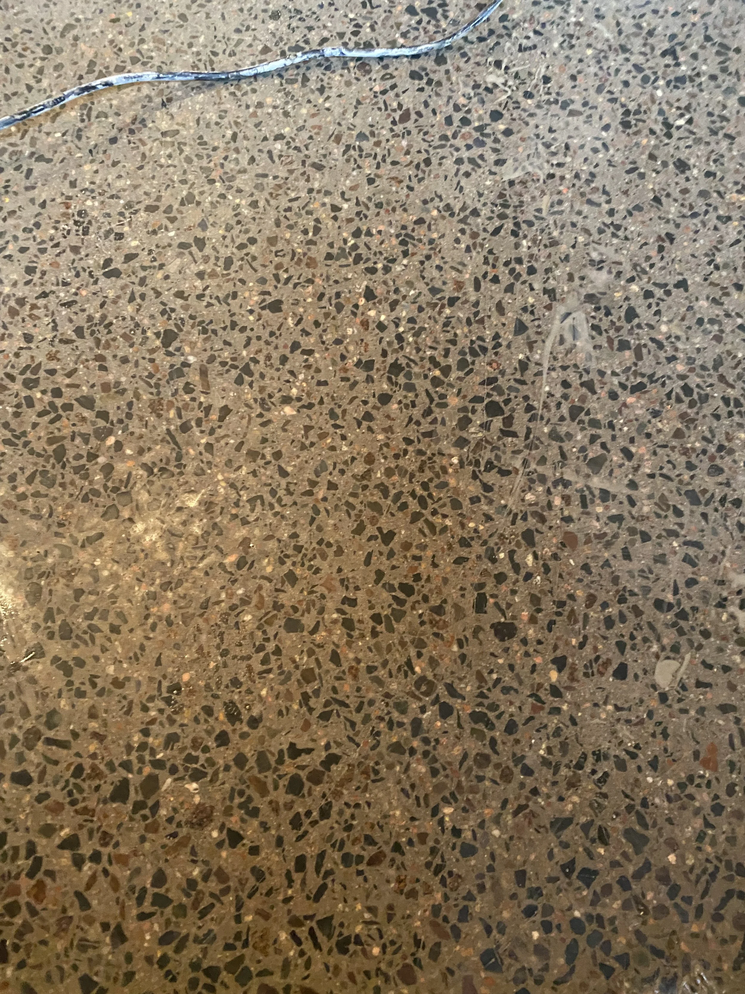 Photo Feb 28 2023, 4 13 15 PM.jpg