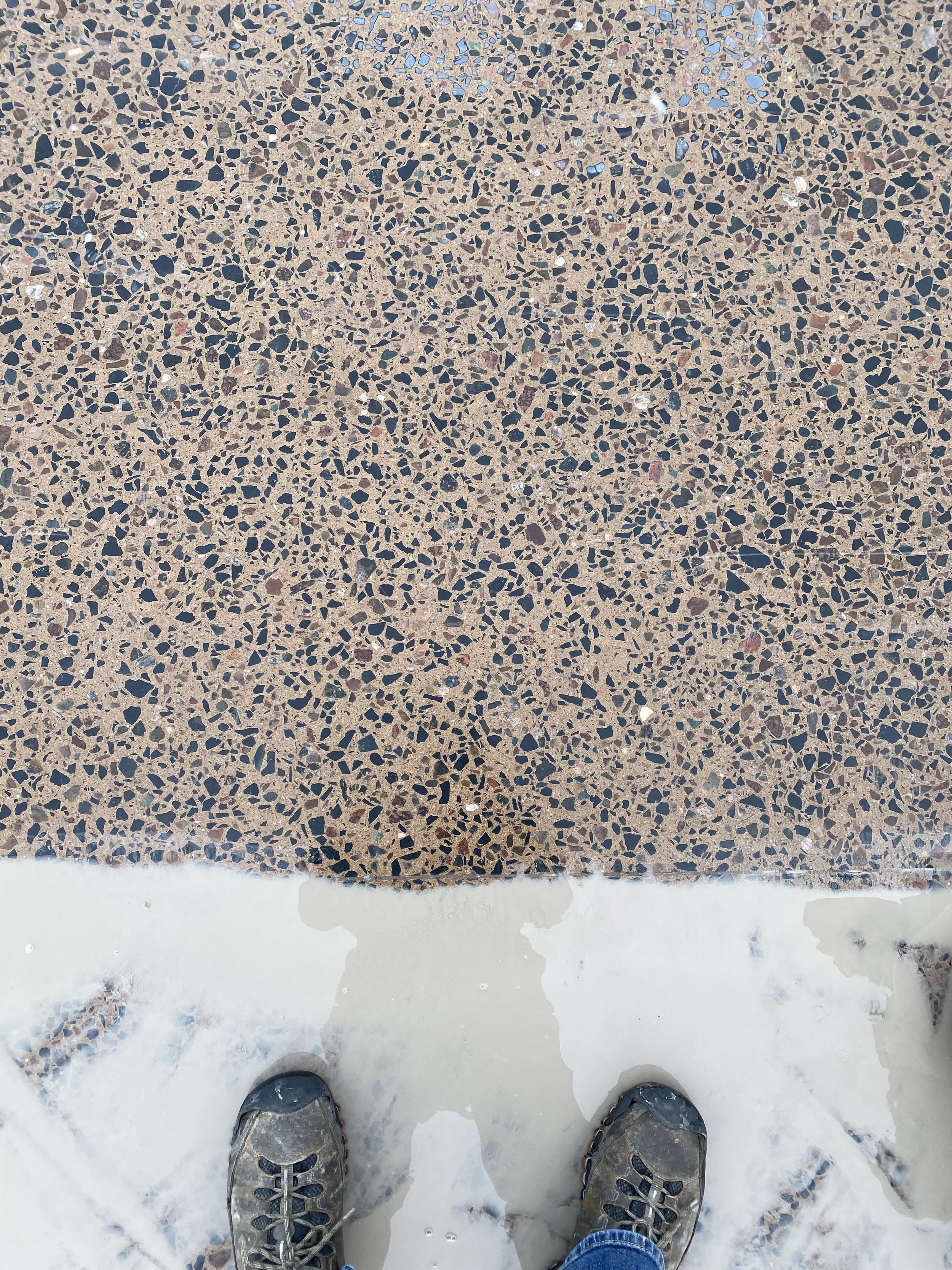 Photo Feb 06 2024, 3 35 12 PM.jpg