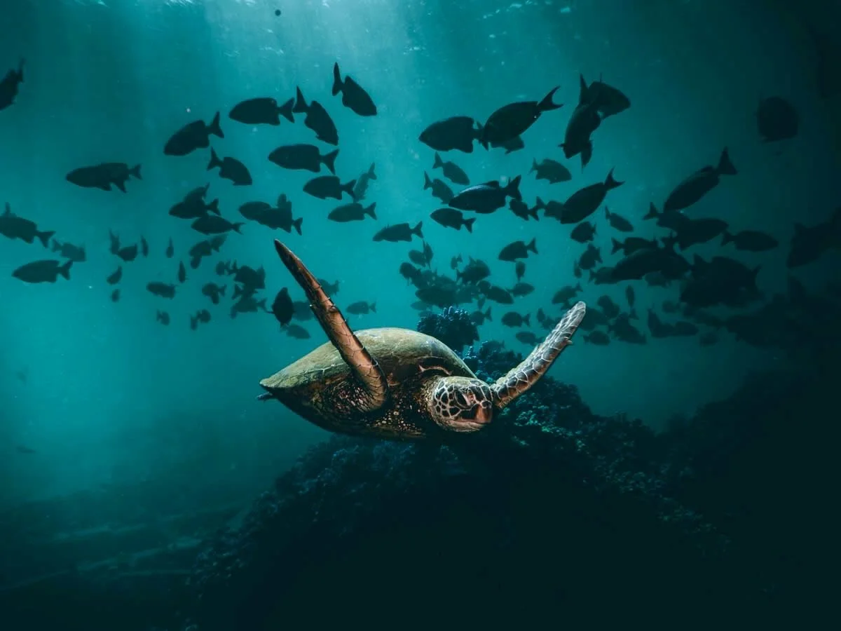 What&rsquo;s your style ? &ldquo;There is no father to my style.&rdquo;
Like it&rsquo;s something you pick off a shelf.
Like it&rsquo;s a preset.
Like it&rsquo;s a trend.

Style isn&rsquo;t chosen &mdash; it&rsquo;s earned.
It&rsquo;s the miles offsh