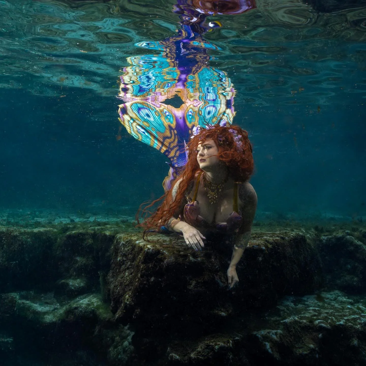 Photographing marine life is absolutely the most fun thing you can do with a camera .
Equally as fun and challenging is  photograph underwater portraits.

There&rsquo;s something incredible about combining people with the underwater world.
Wildlife w