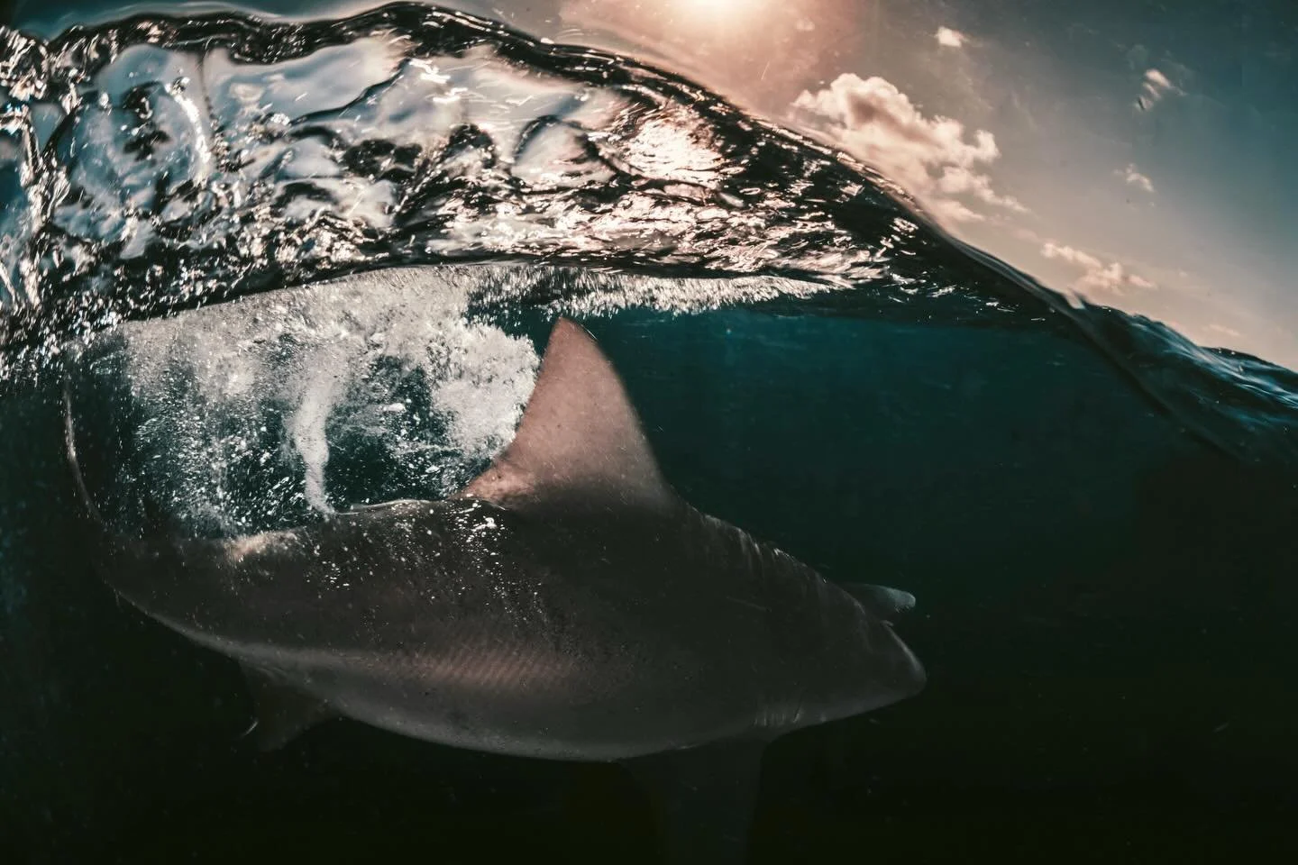 Have you ever used filters underwater?
I&rsquo;ve been experimenting with cinematic filters, anything that softens the light and leans into the chaos It&rsquo;s unpredictable. Water&rsquo;s already doing its own thing, and now you&rsquo;re adding ano