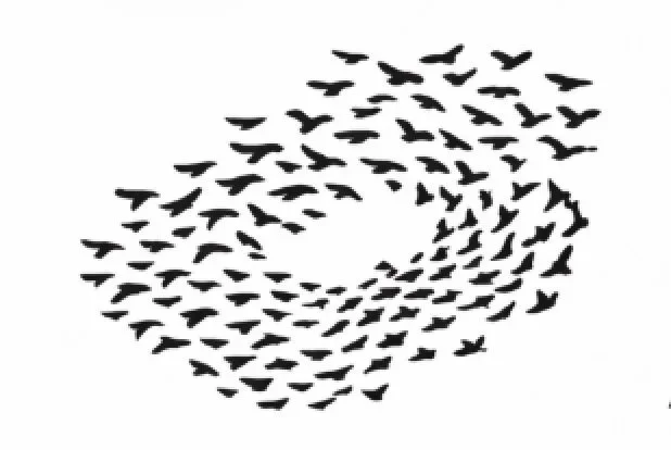 Silhouette of flying birds forming a swirling pattern against a white background.