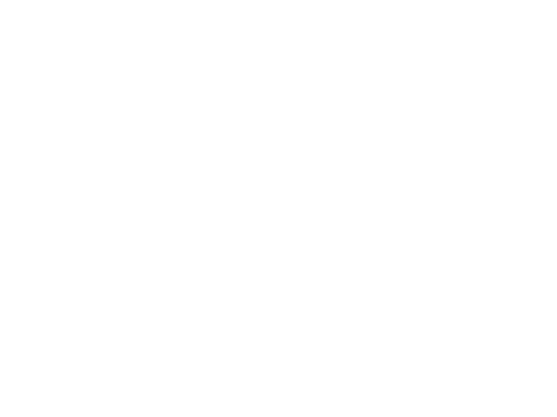 Toro.png