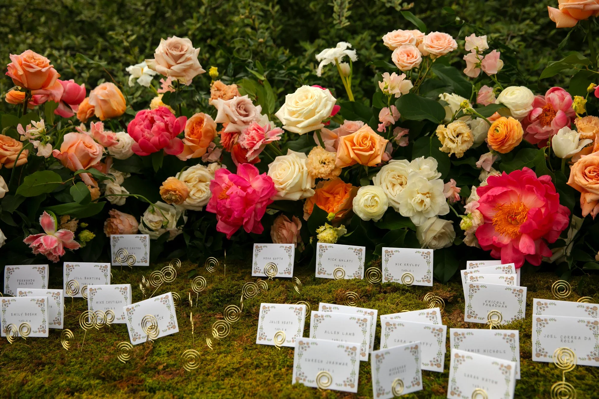 A wedding or event seating chart with rows of white name cards on small gold spiral holders, placed on moss. Behind the cards, there are various colorful roses in shades of pink, orange, cream, and peach, creating a floral backdrop.