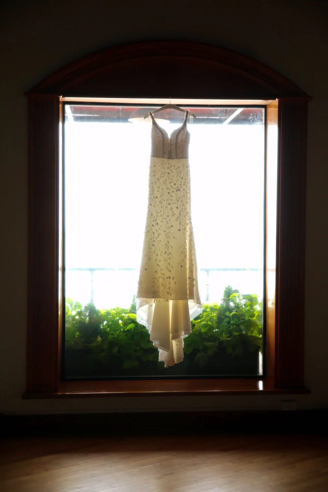 A wedding dress hanging in front of a window with bright sunlight shining through the glass, and green plants outside.