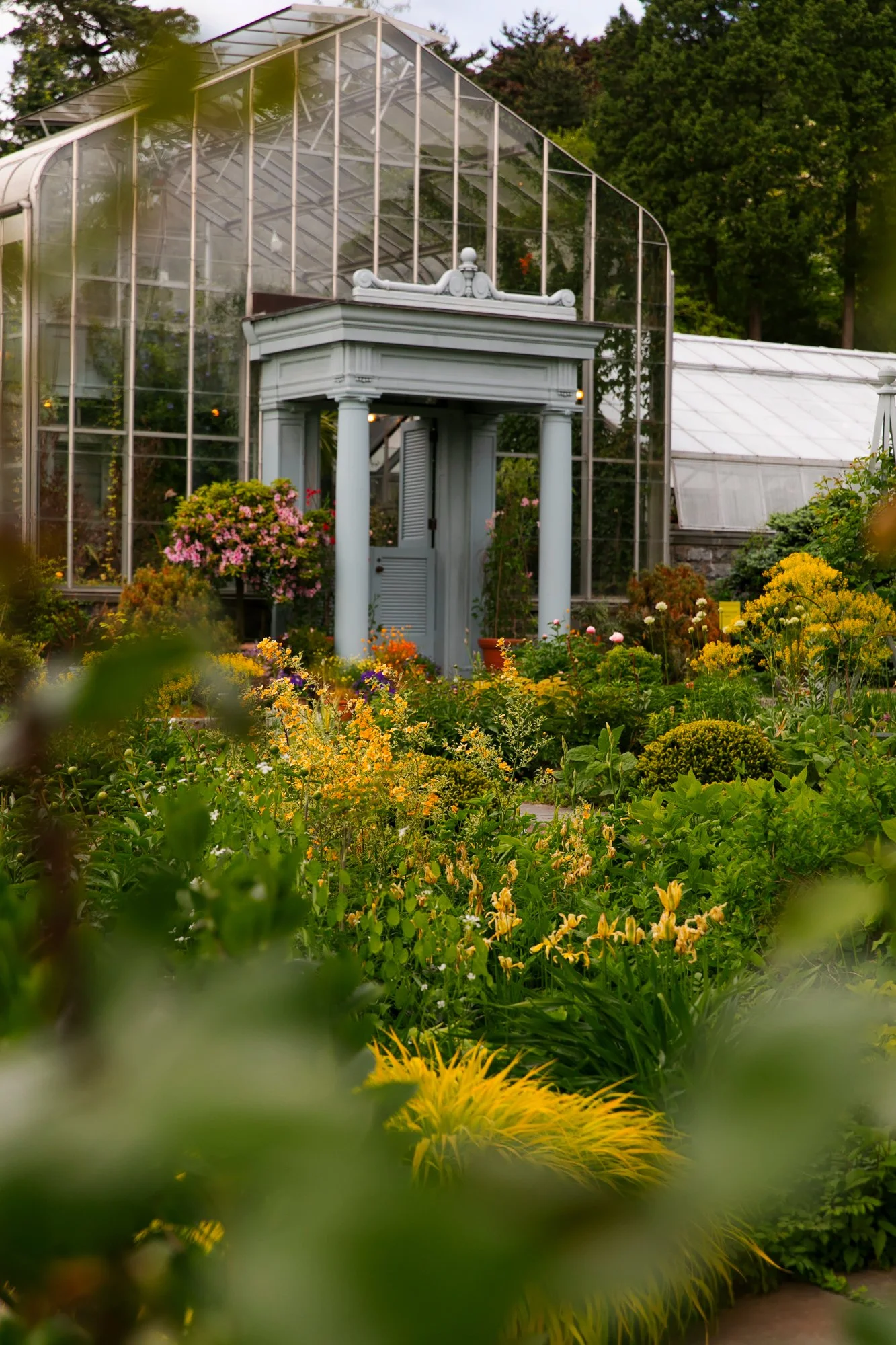 A lush garden with a variety of colorful flowers and plants in front of a large glass greenhouse.