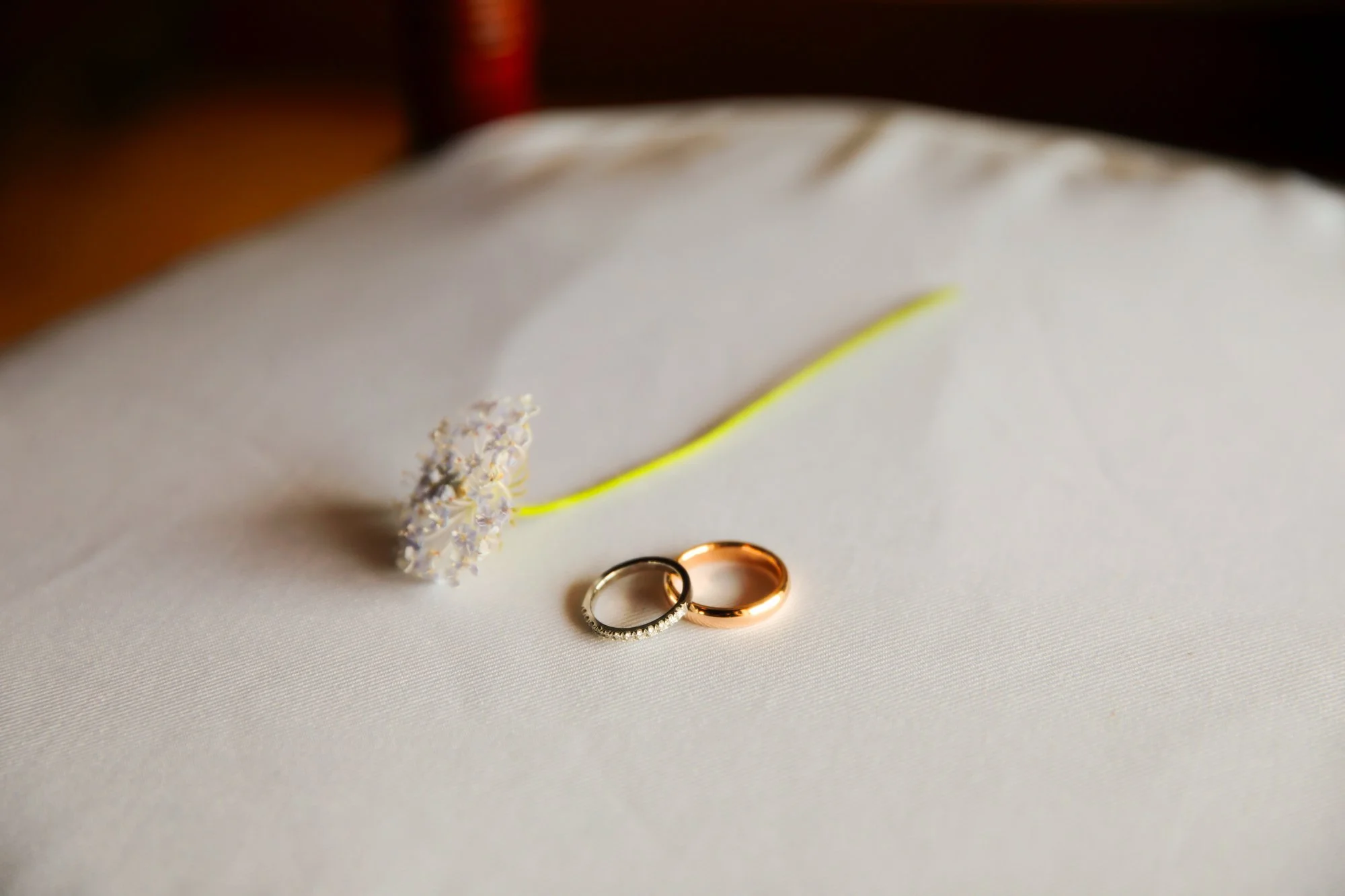 Wedding rings, one silver with diamonds and one plain gold, placed on white fabric with a small white flower with a yellow stem nearby.