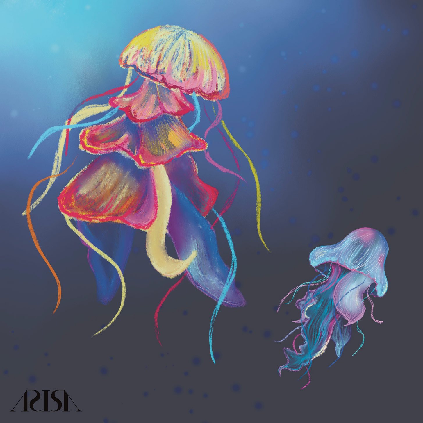 Jelly-fishes.jpg