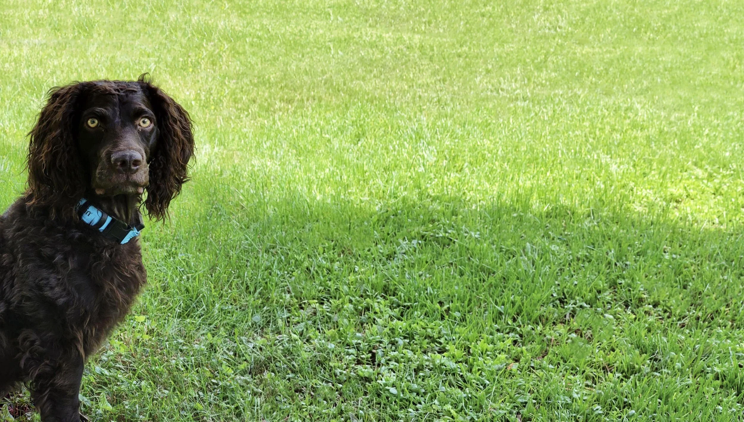 For Cindi, With Love