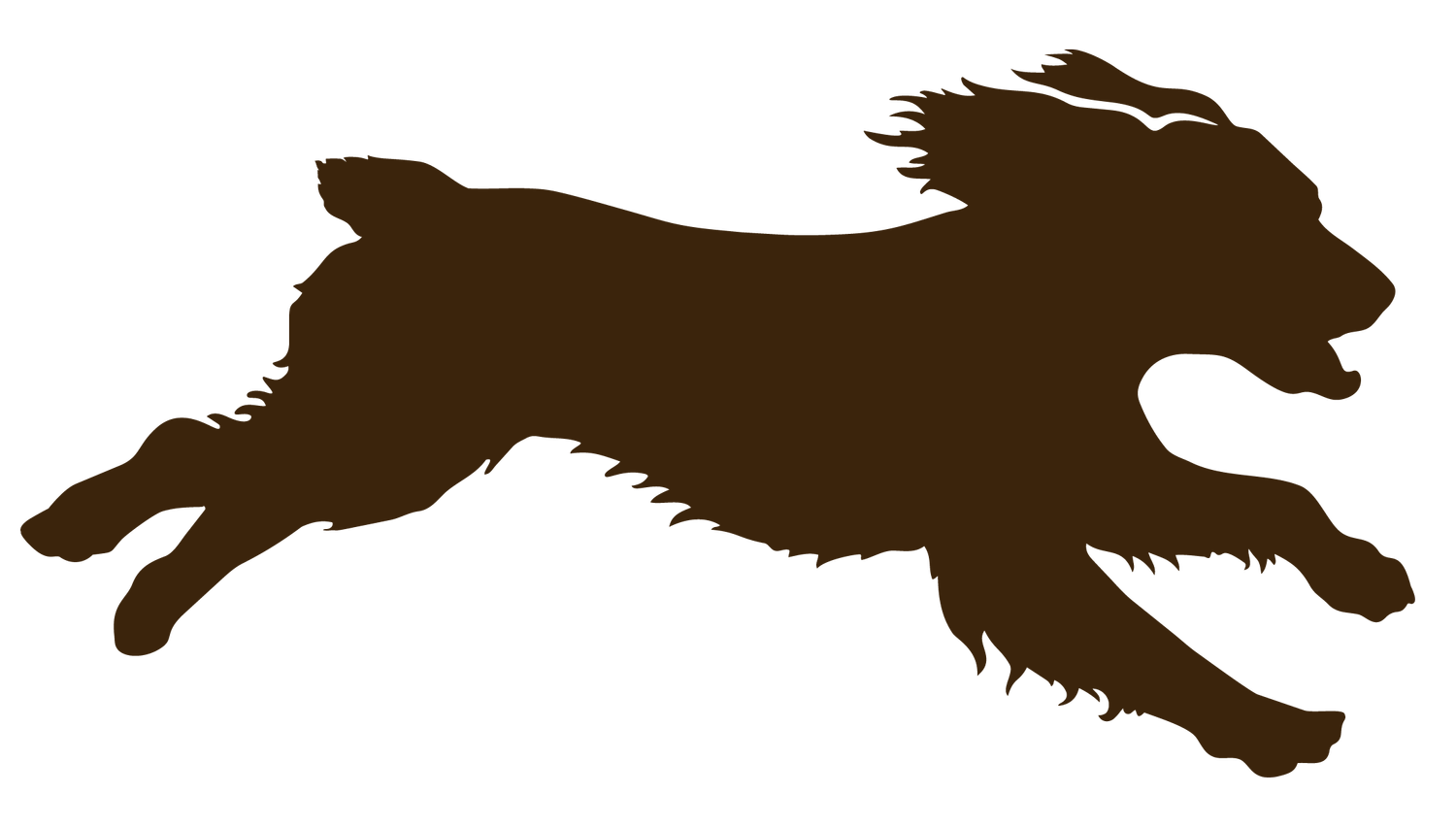 Operation Little Brown Dog