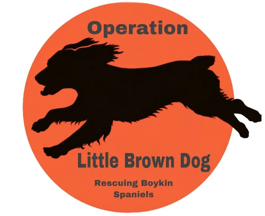 Silhouette of a running boykin spaniel dog on an orange circular background with text reading 'Operation Little Brown Dog, Rescuing Boykin Spaniels'.