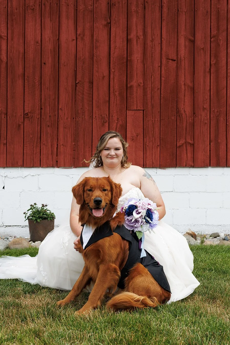 A woman in a wedding dress sitting on grass with a bouquet of purple and white flowers, and a golden retriever wearing a black bow tie, outside in front of a red wooden wall. Bride and her dog photo