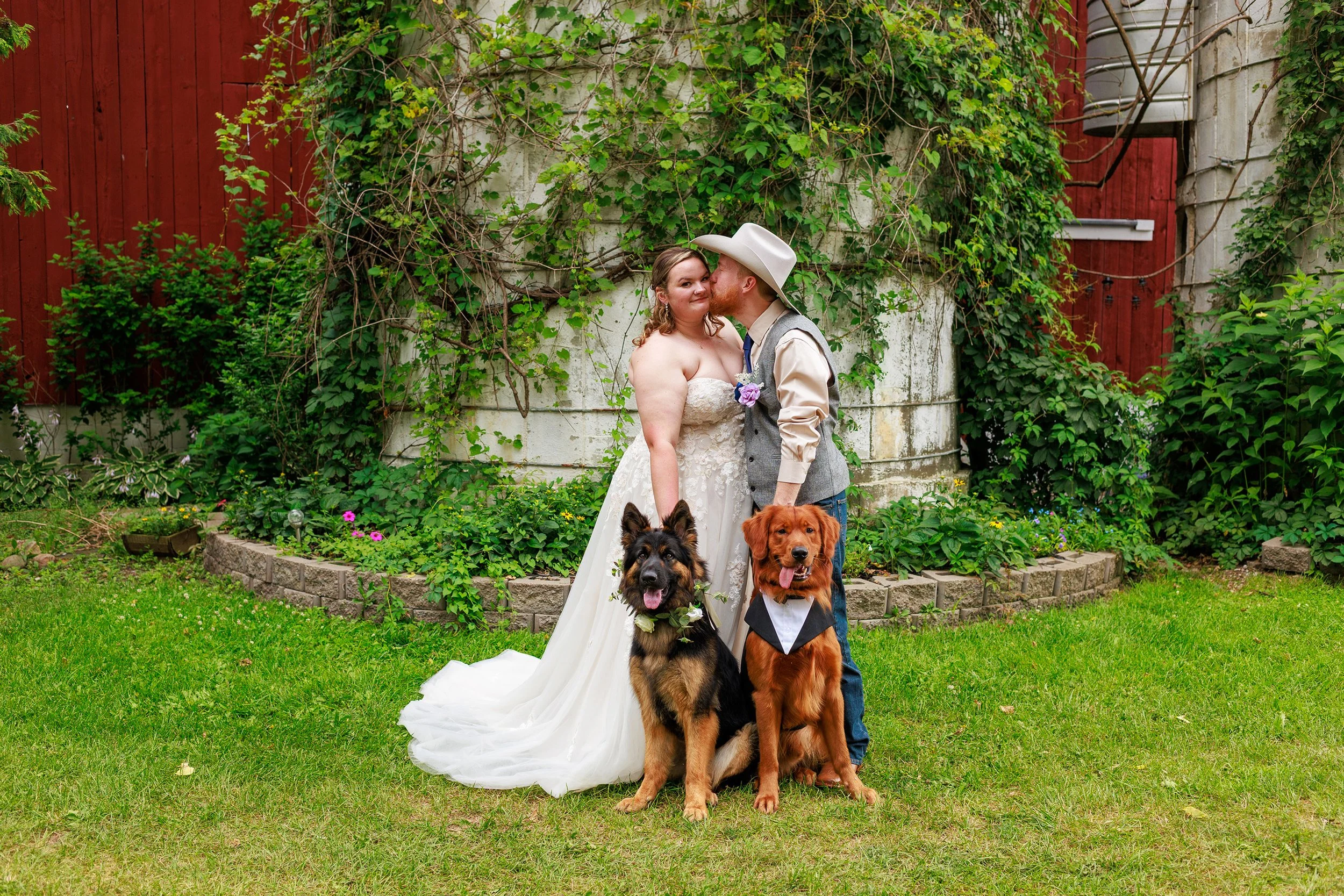 A newlywed couple in wedding attire standing on a grassy lawn, with two dogs sitting in front, in front of an old silo with green vines and plants. The bride wears a white strapless wedding gown, the groom a cowboy hat, jeans, and a vest. One dog has